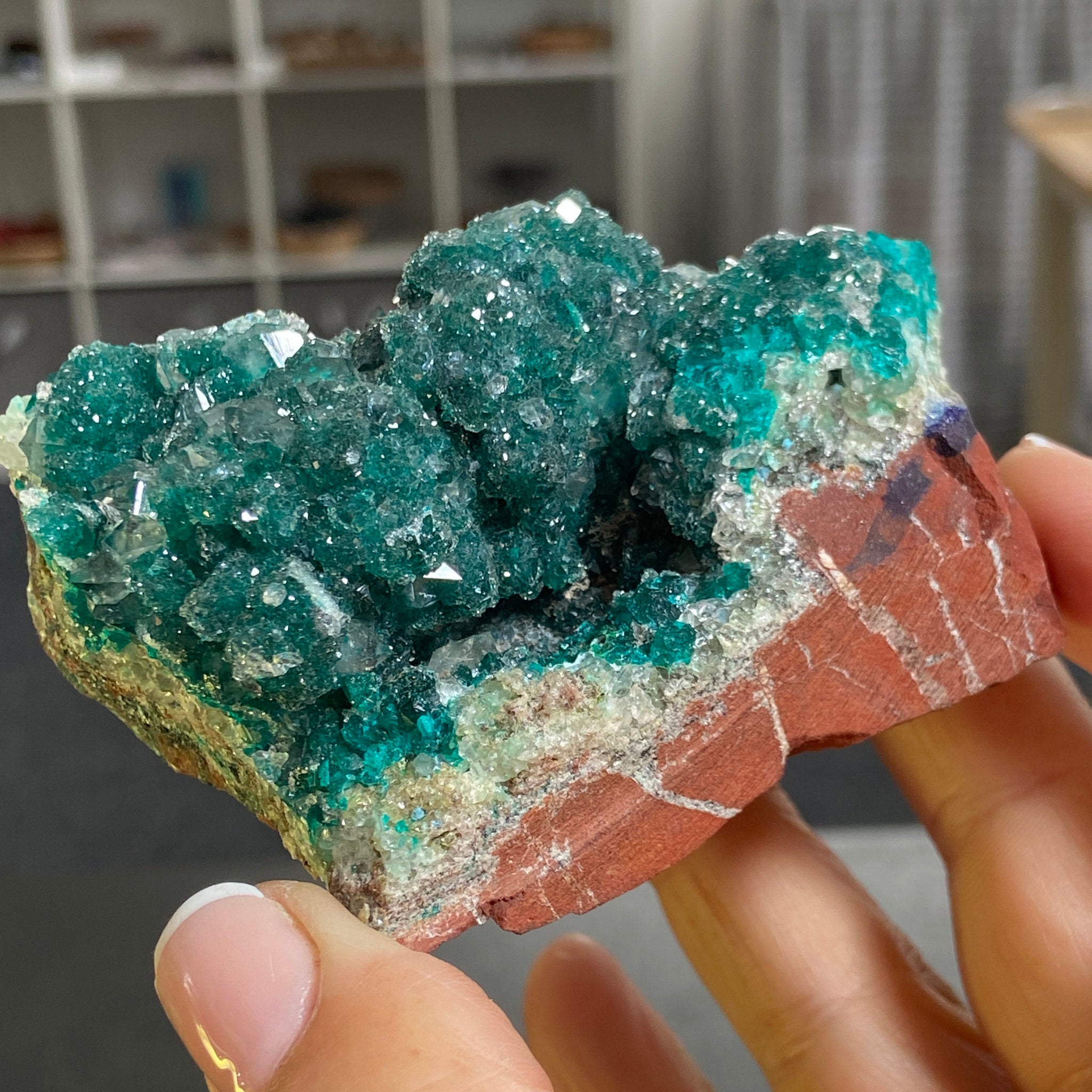 Private Collection - Dioptase with Clear Quartz