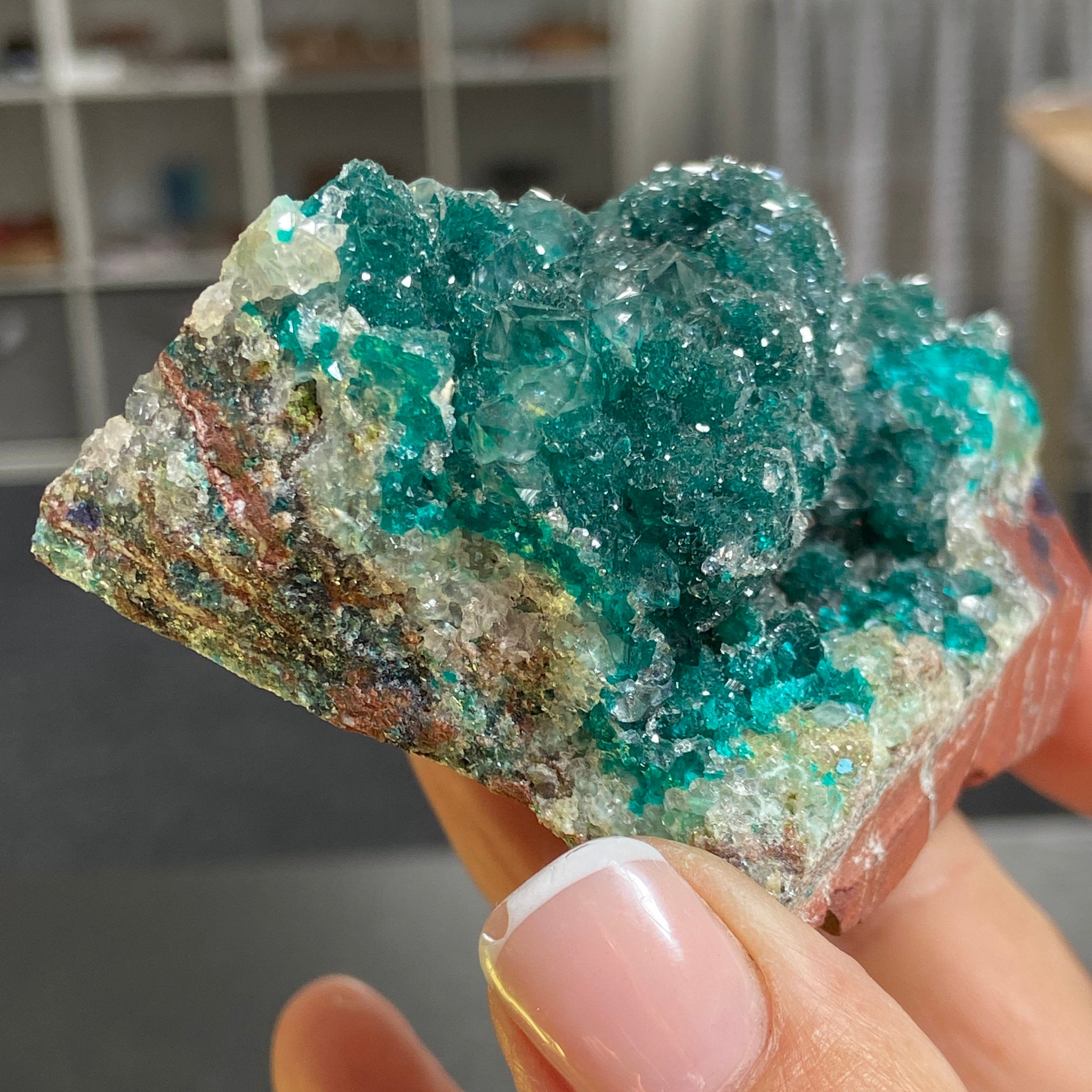 Private Collection - Dioptase with Clear Quartz