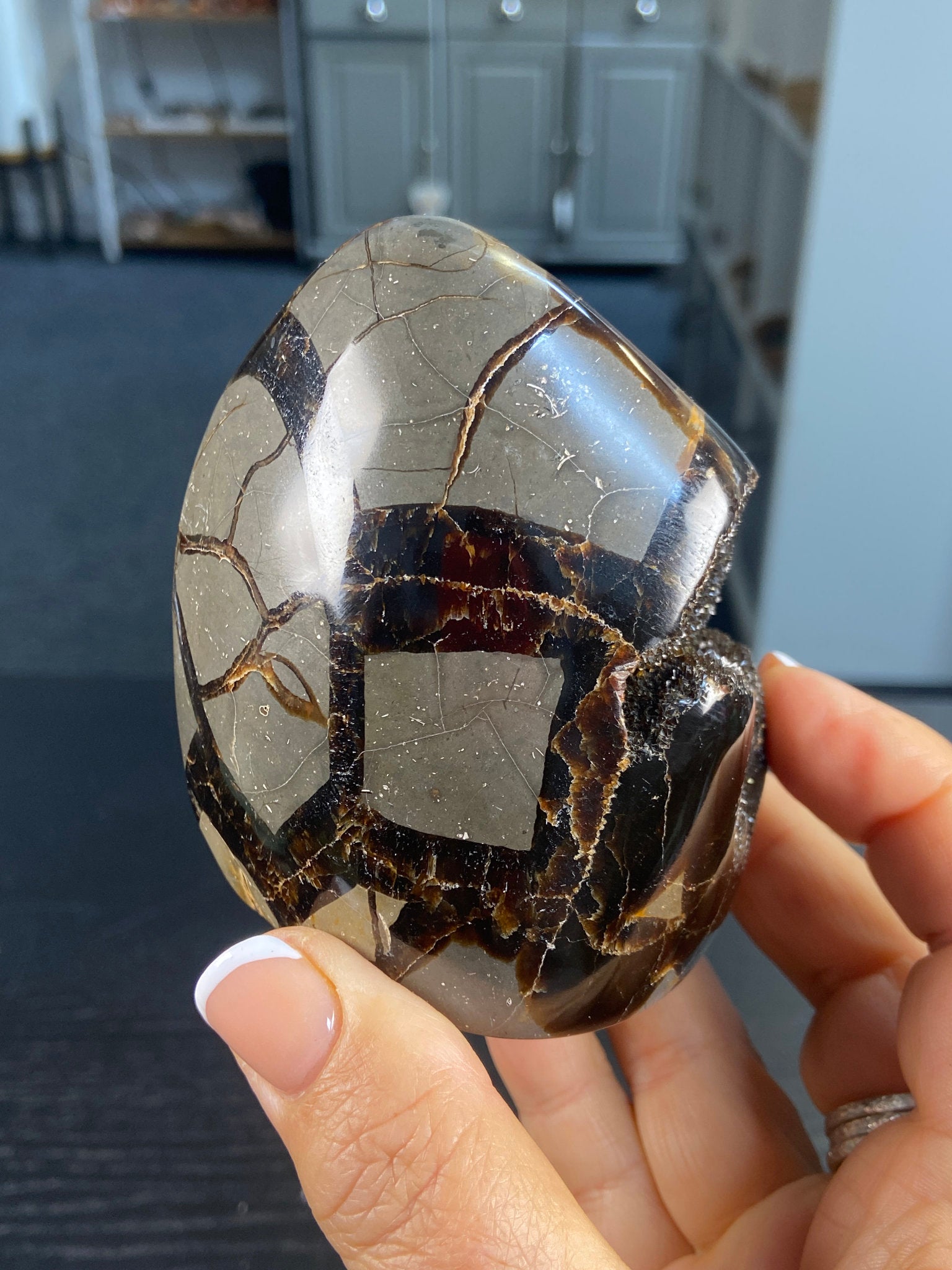 Septarian Geode – The Dragon Stone of Strength & Grounding