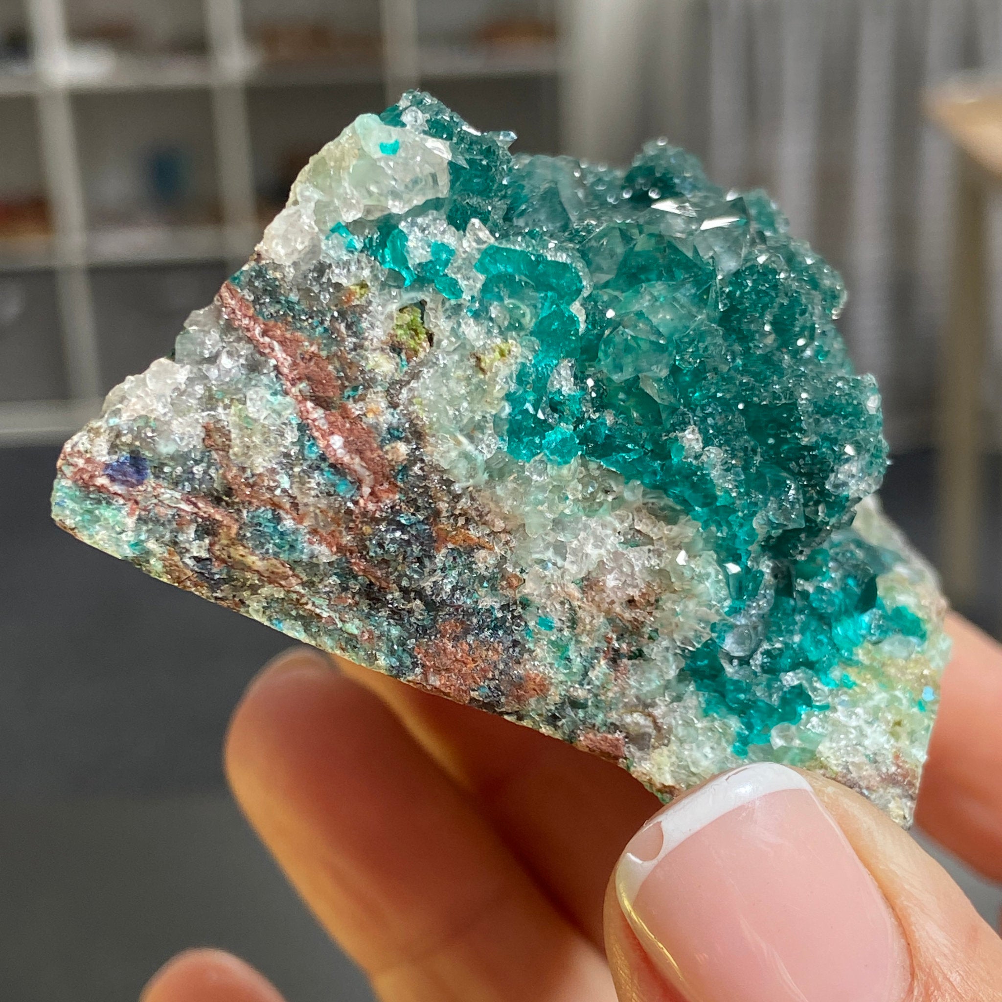 Private Collection - Dioptase with Clear Quartz