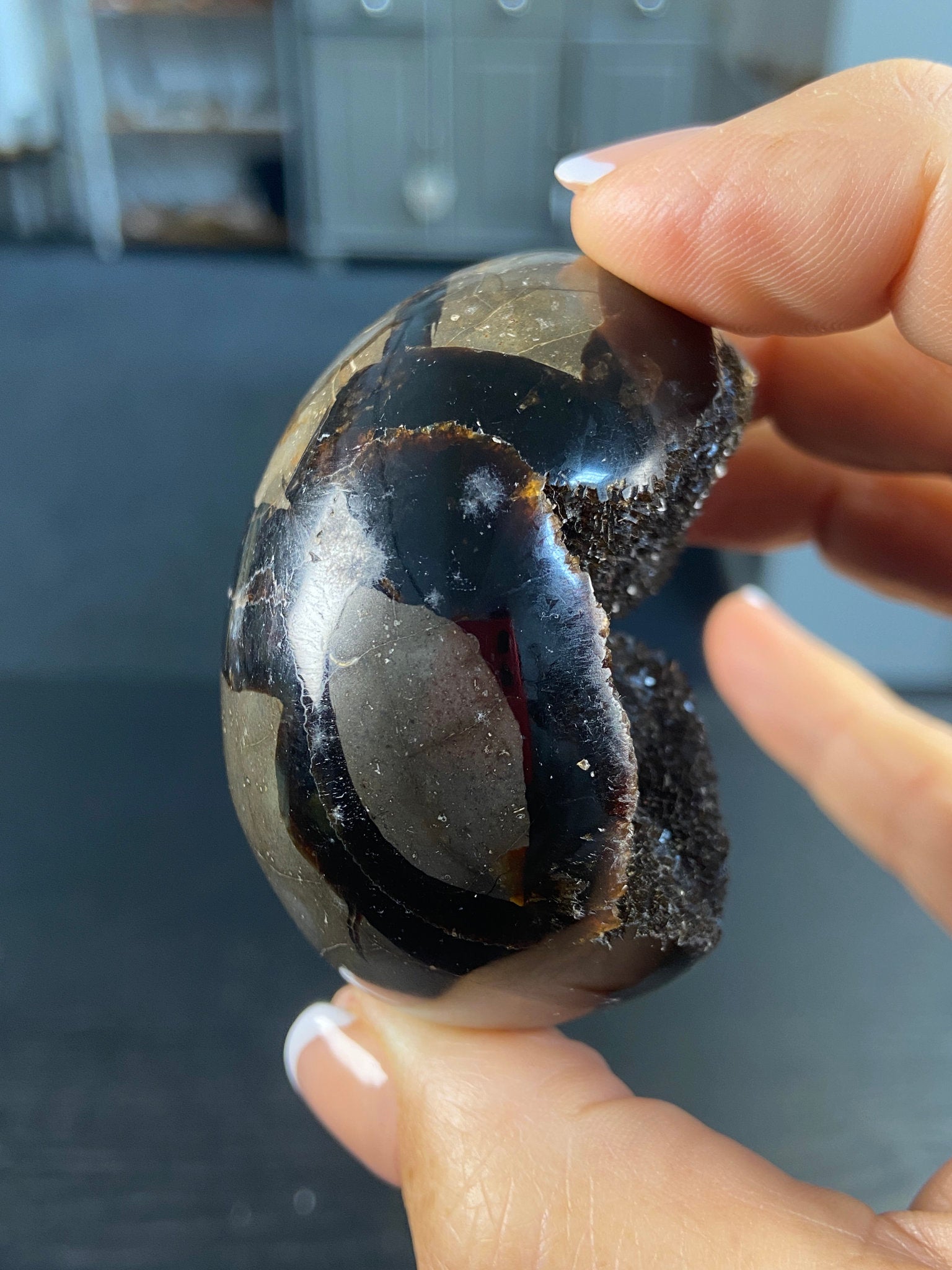 Septarian Egg Geode – The Dragon Stone of Wisdom & Protection