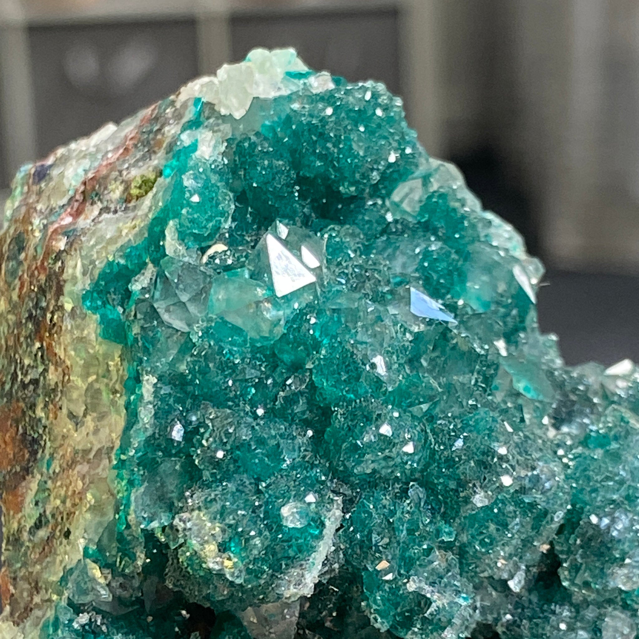 Private Collection - Dioptase with Clear Quartz