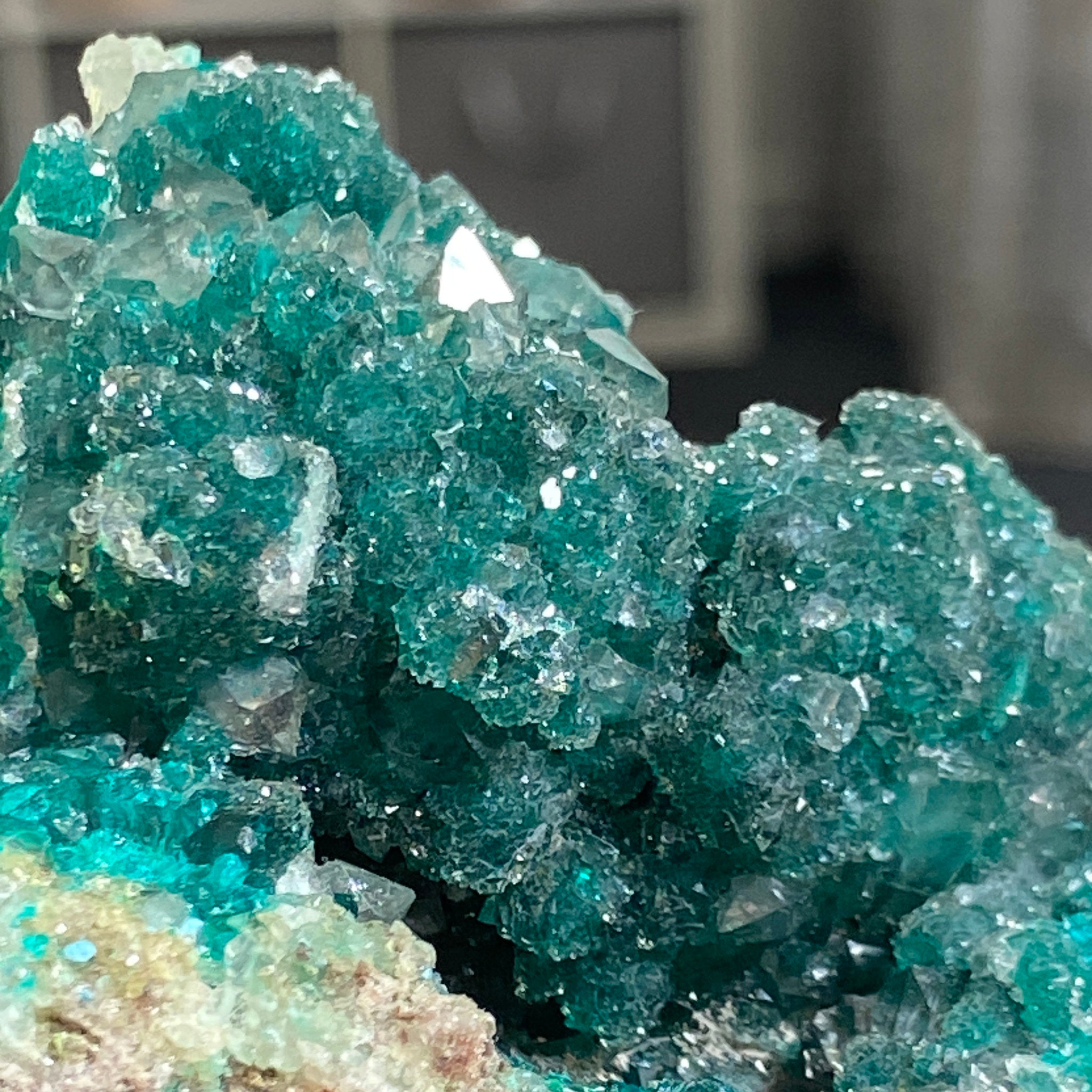 Private Collection - Dioptase with Clear Quartz