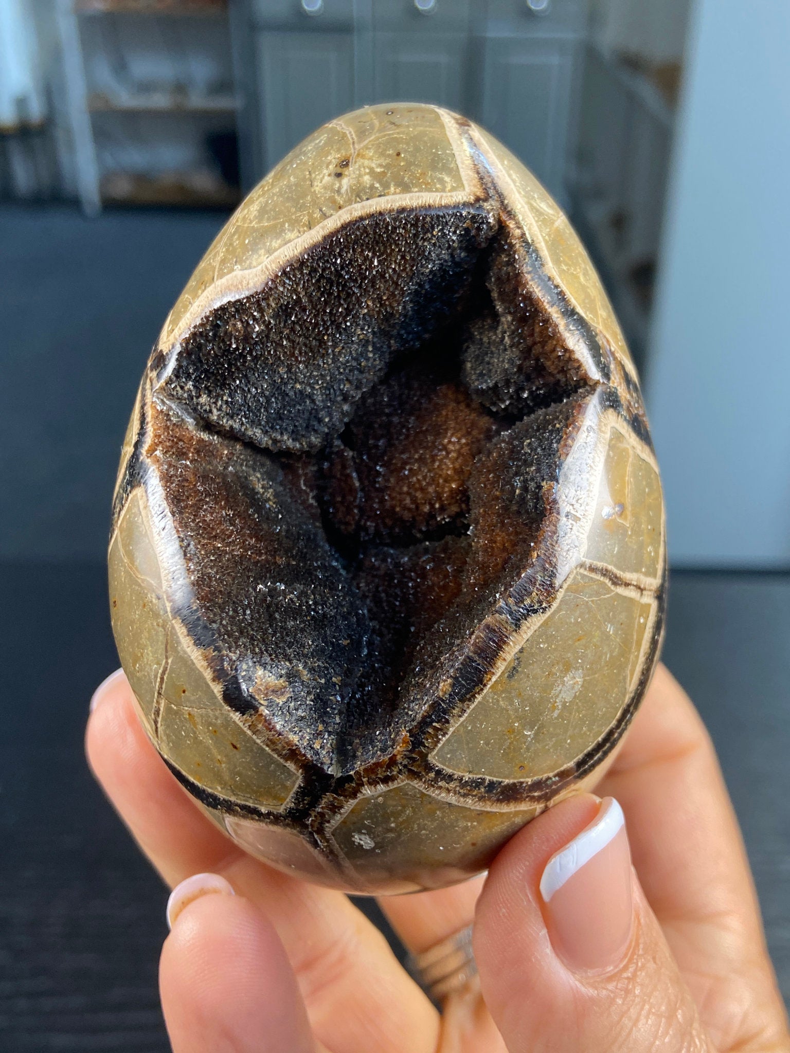 Septarian Egg Geode – The Dragon Stone of Ancient Power