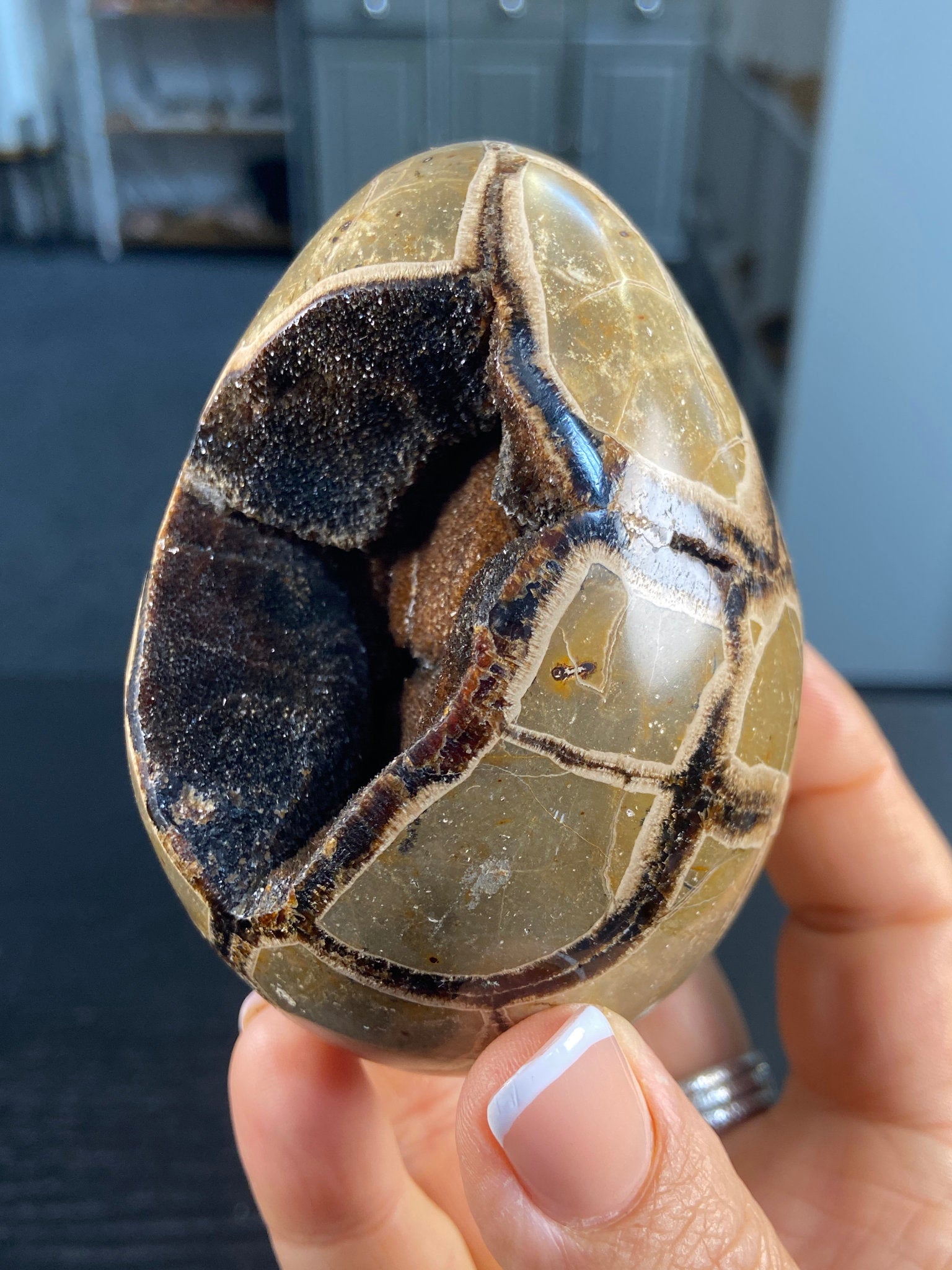 Septarian Egg Geode – The Dragon Stone of Ancient Power