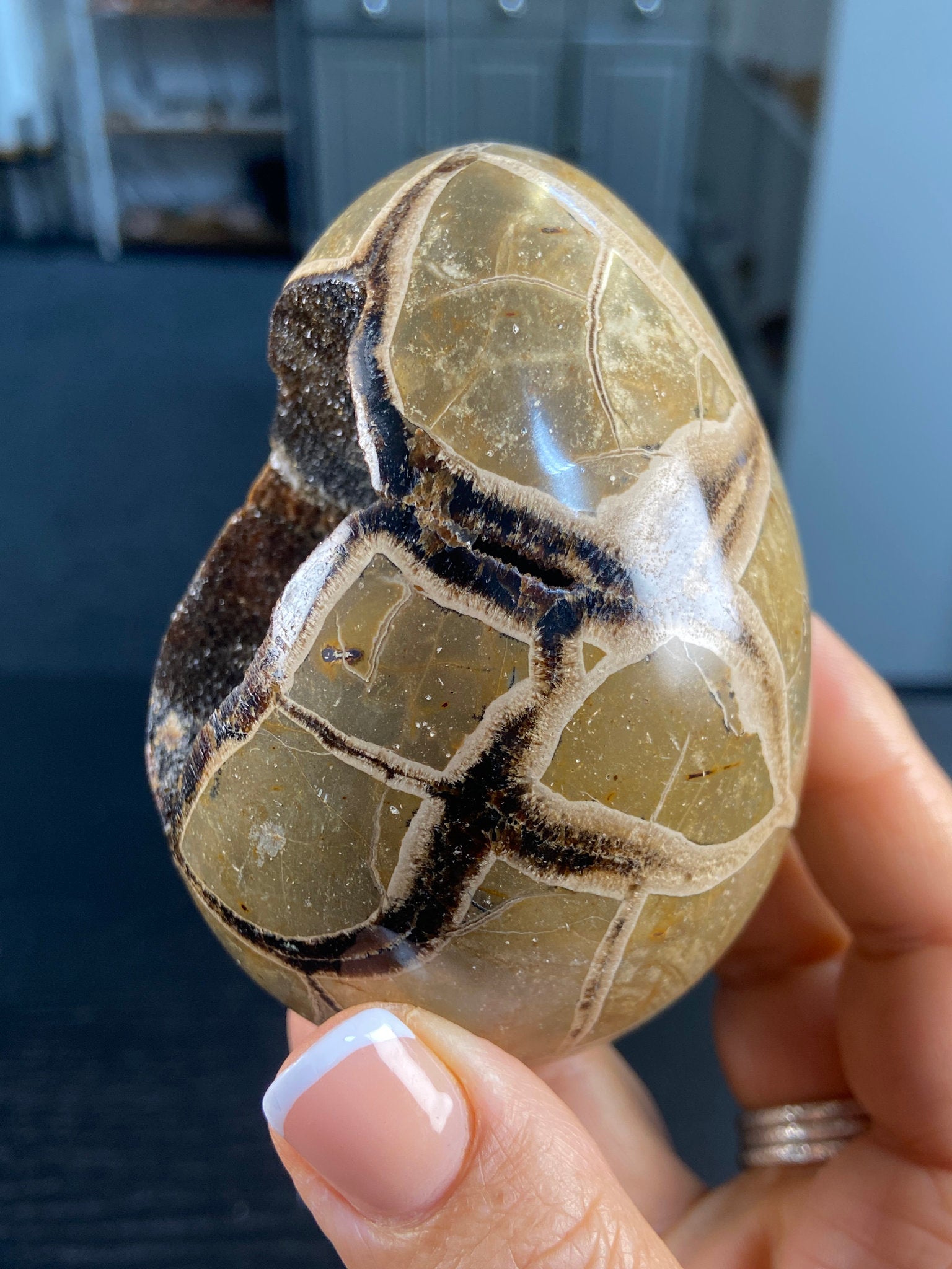 Septarian Egg Geode – The Dragon Stone of Ancient Power