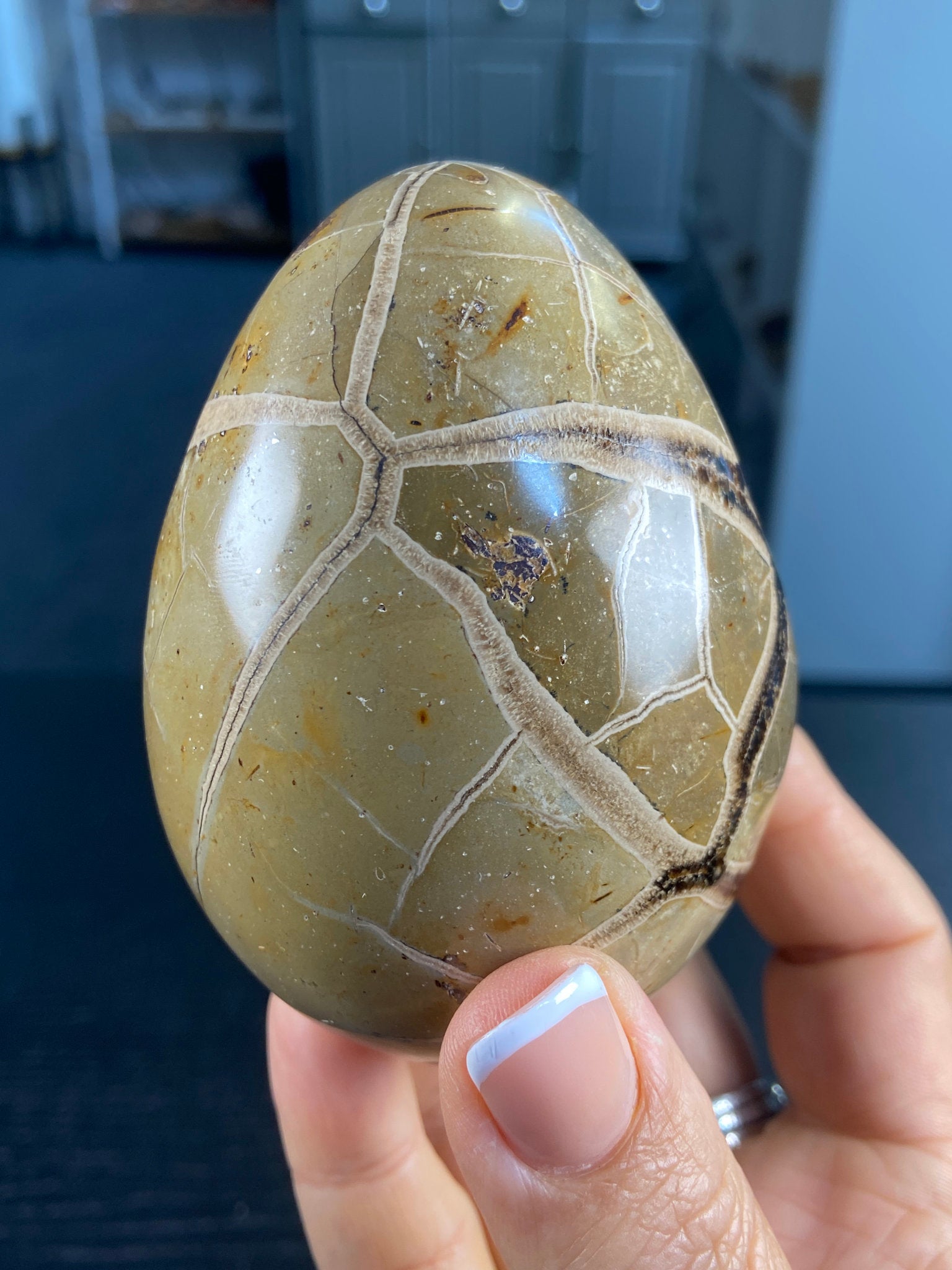 Septarian Egg Geode – The Dragon Stone of Ancient Power