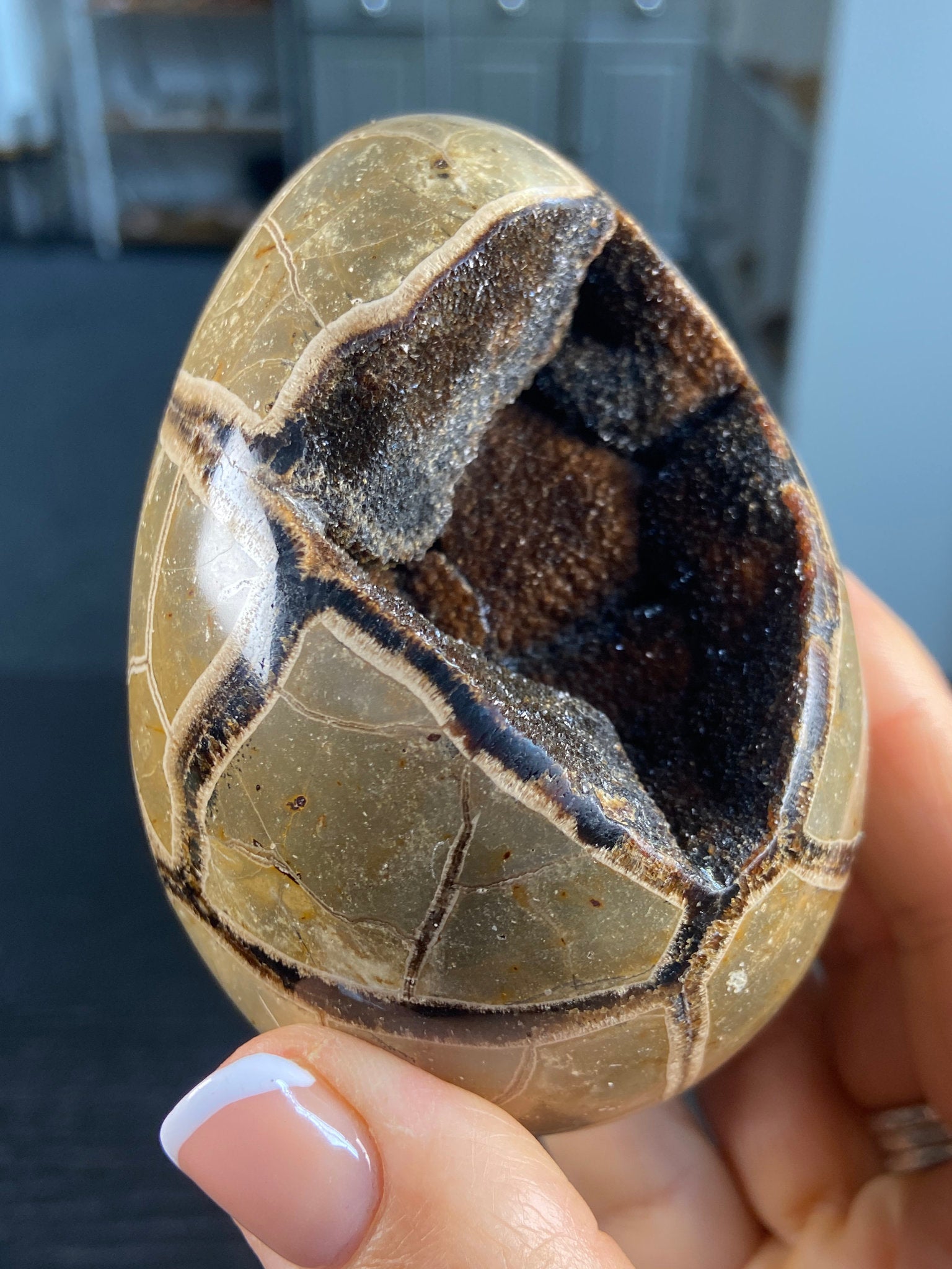 Septarian Egg Geode – The Dragon Stone of Ancient Power
