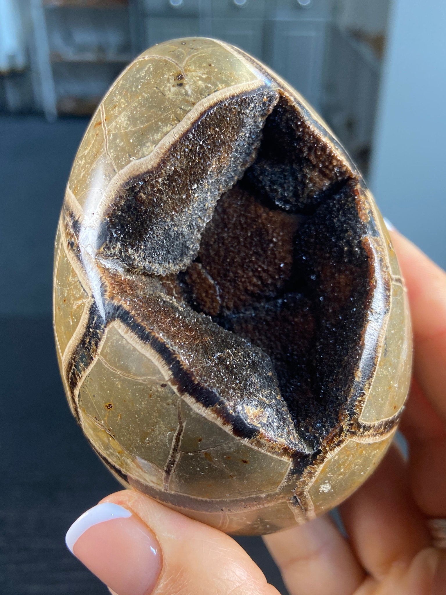 Septarian Egg Geode – The Dragon Stone of Ancient Power