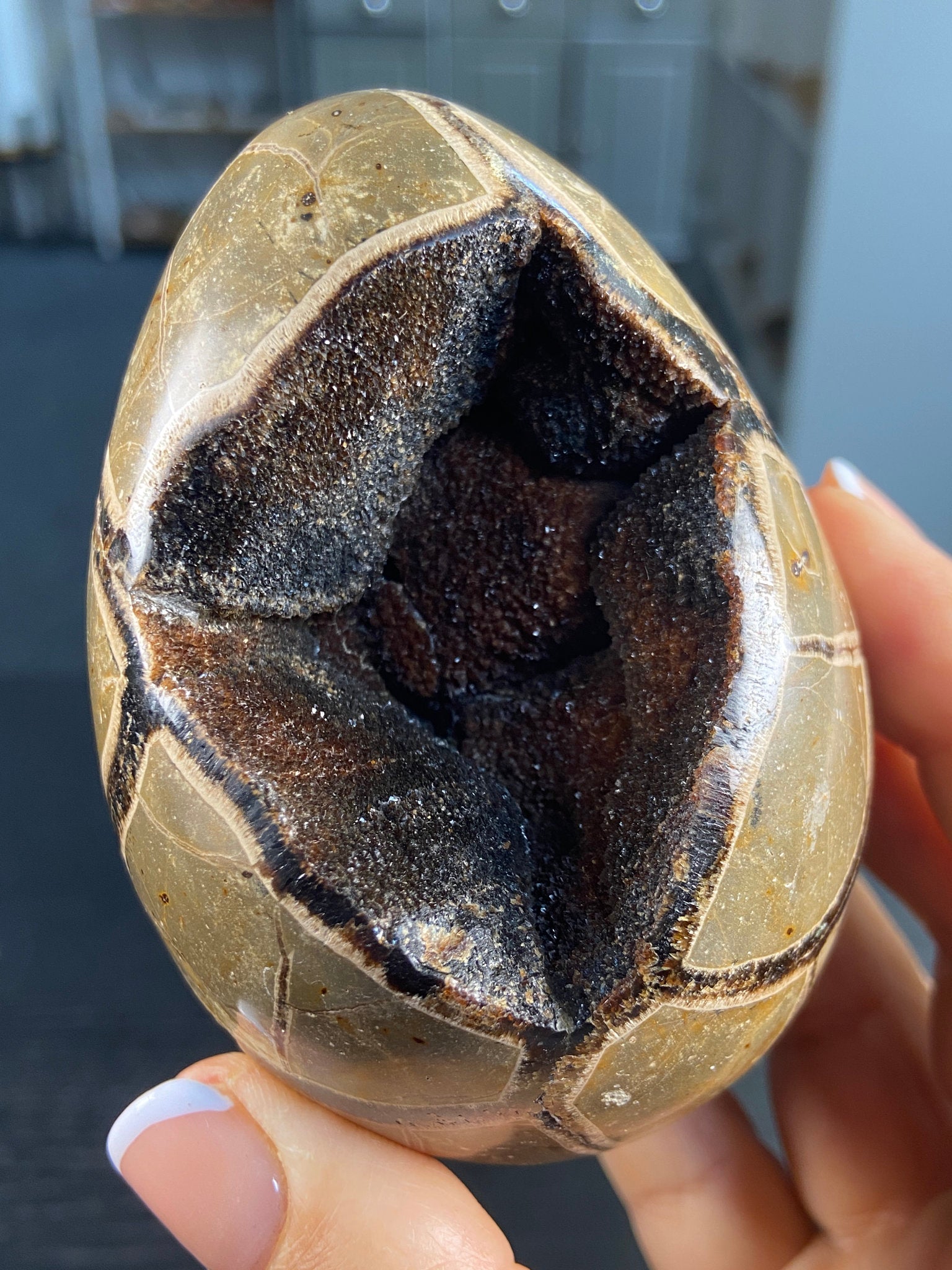 Septarian Egg Geode – The Dragon Stone of Ancient Power