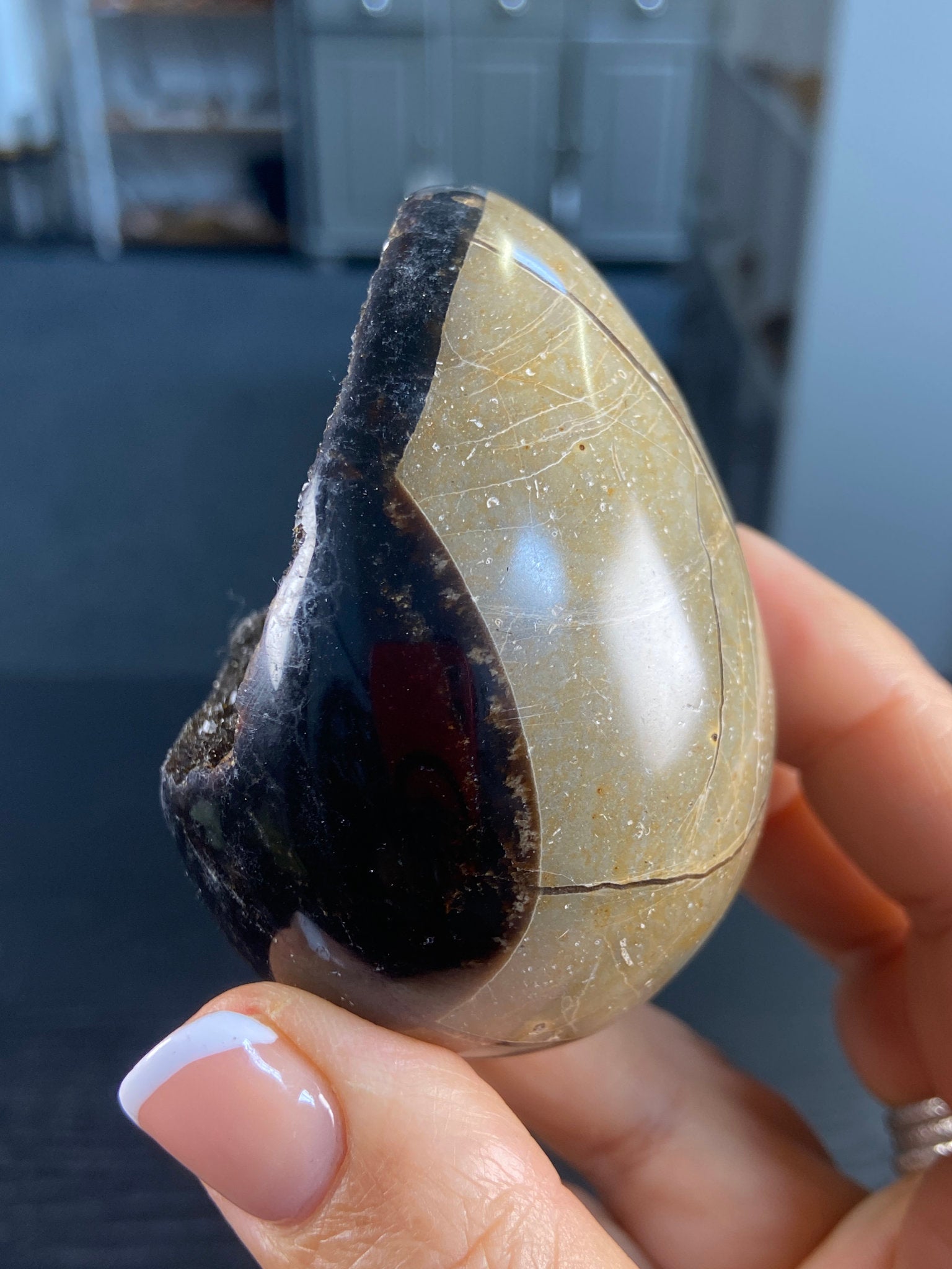 Septarian Druzy Egg – The Dragon Stone of Protection & Ancient Earth