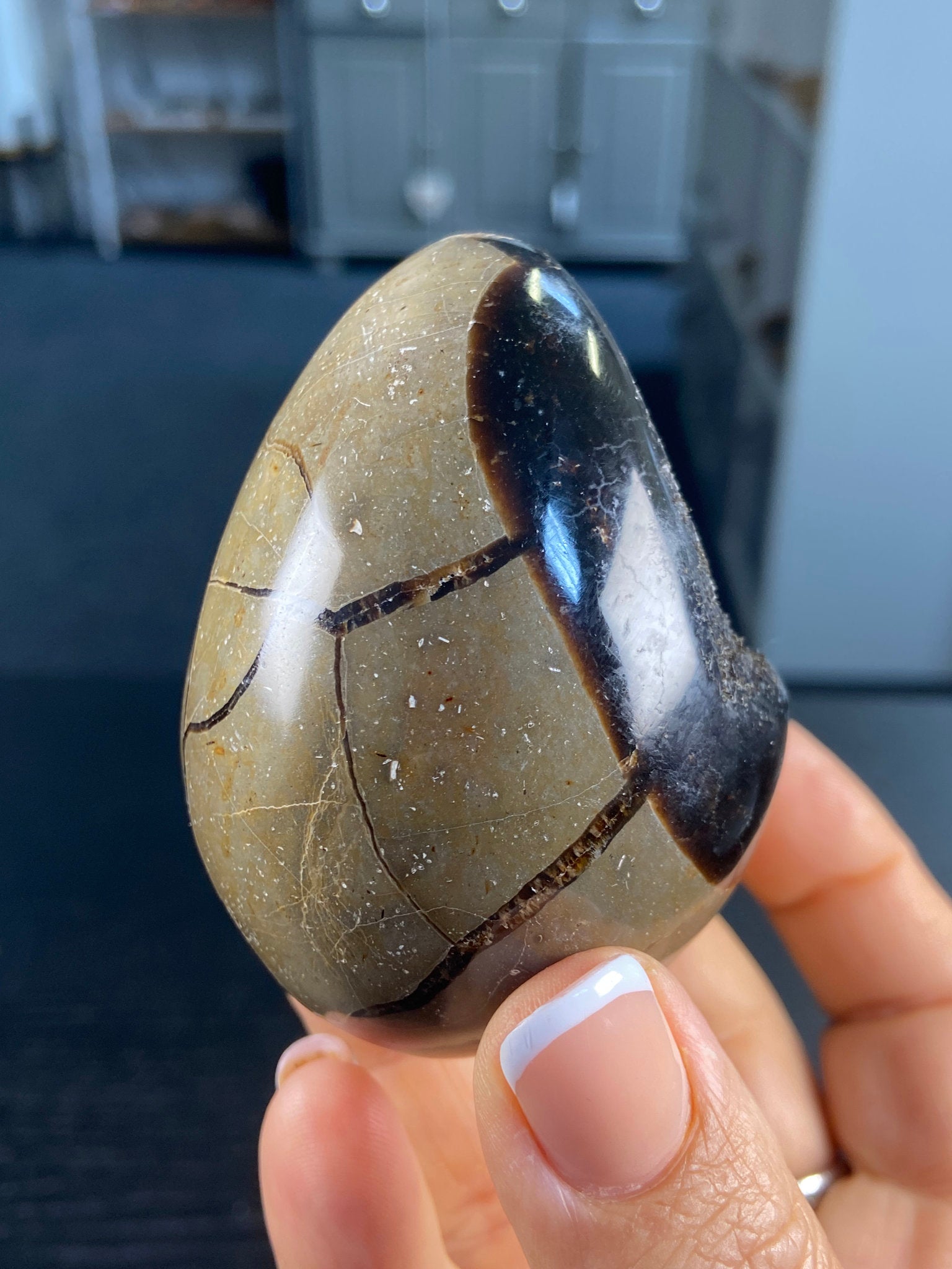Septarian Druzy Egg – The Dragon Stone of Protection & Ancient Earth
