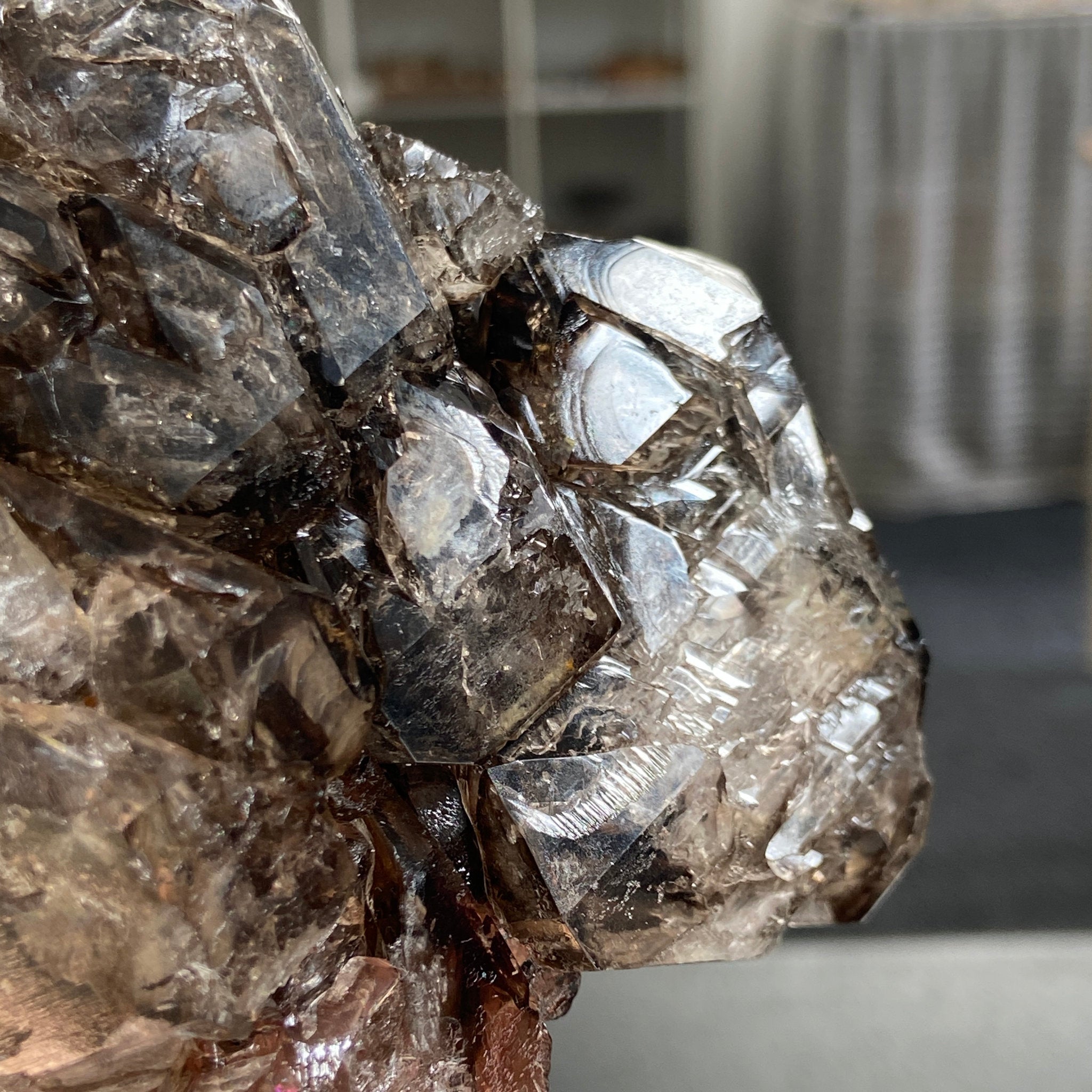 Private Collection - Smoky Elestial Quartz Cluster – Brazil