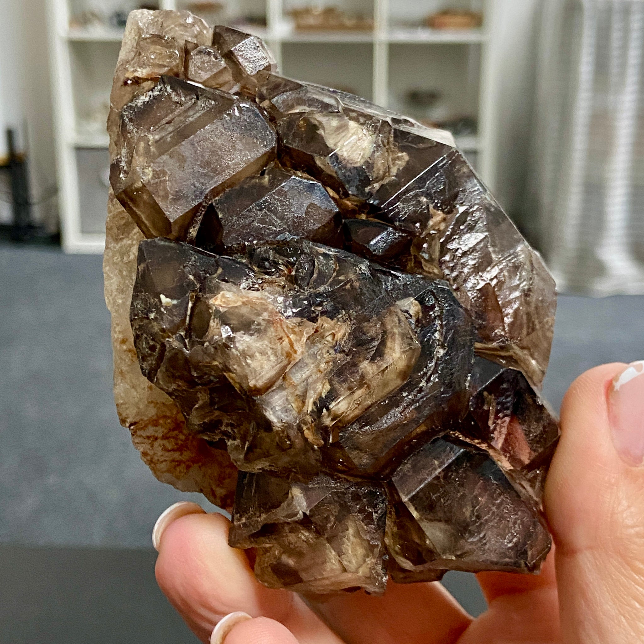 Private Collection - Smoky Elestial Quartz Cluster – Brazil