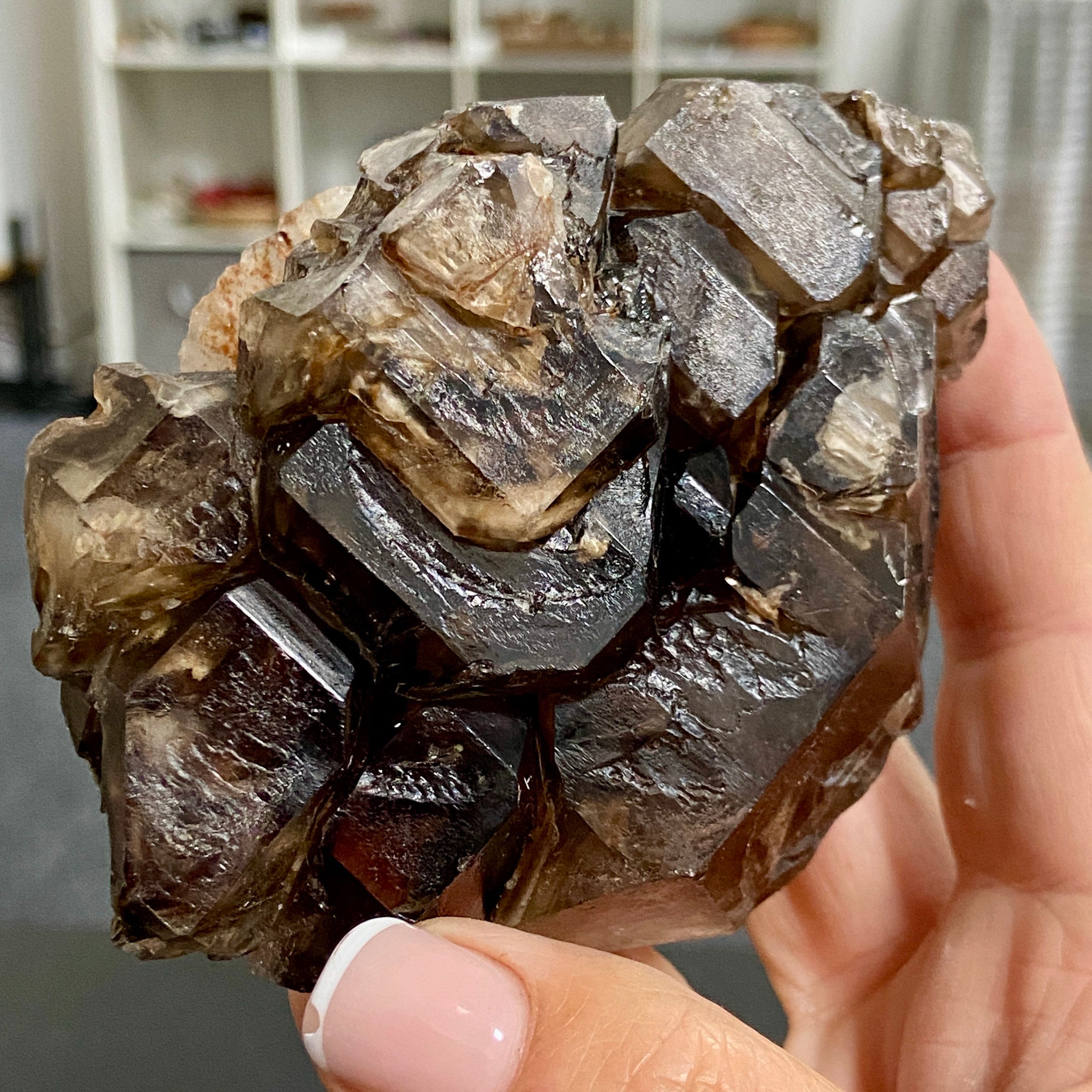 Private Collection - Smoky Elestial Quartz Cluster – Brazil