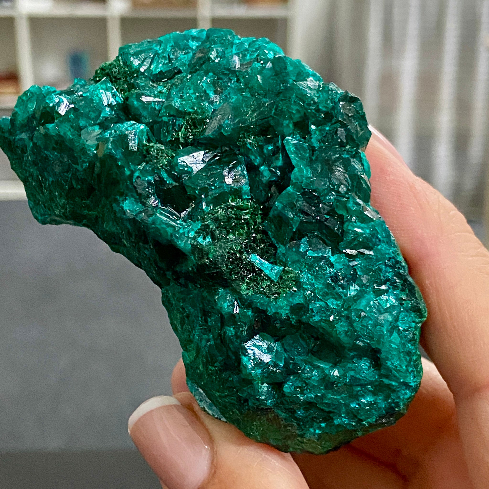 Private Collection - Dioptase