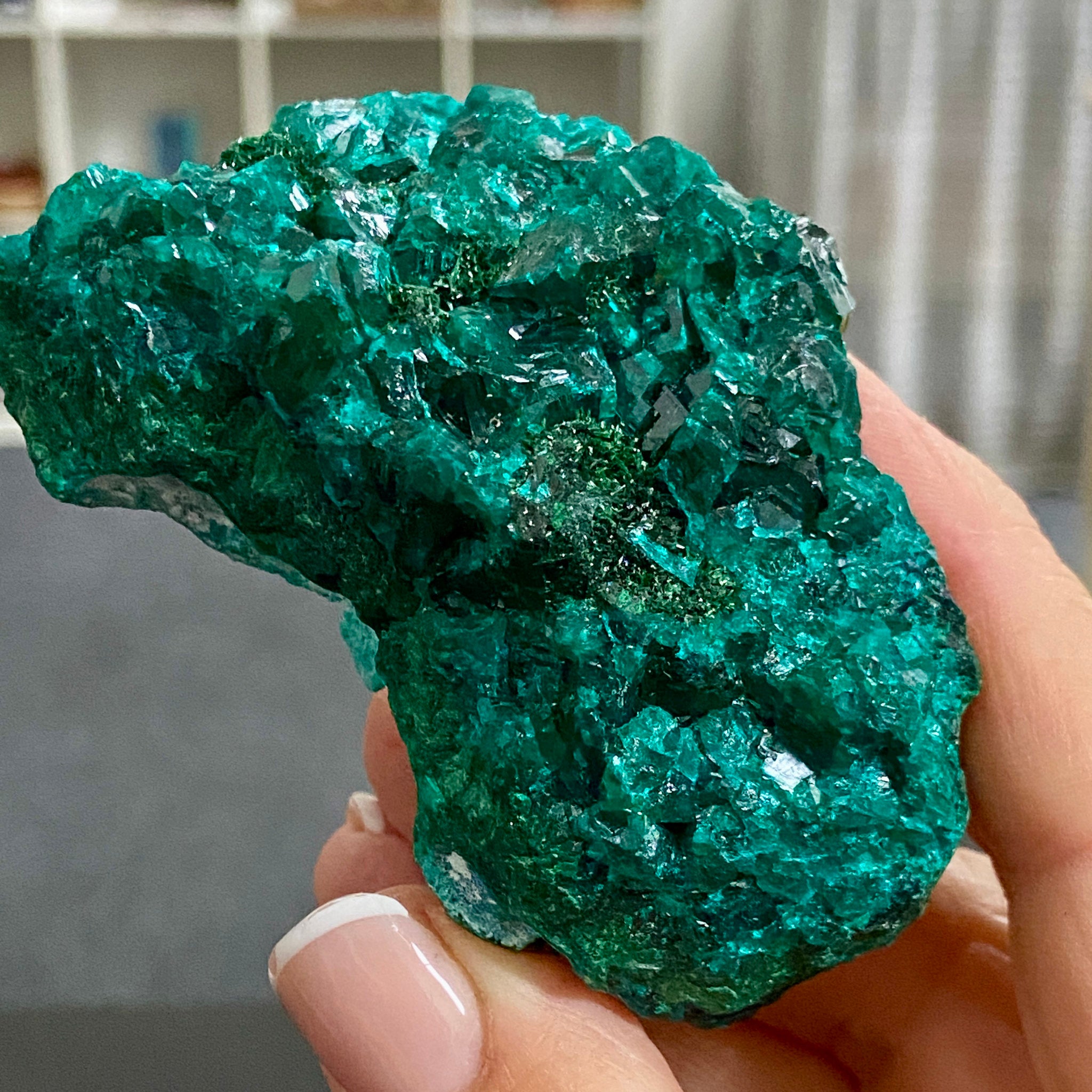 Private Collection - Dioptase