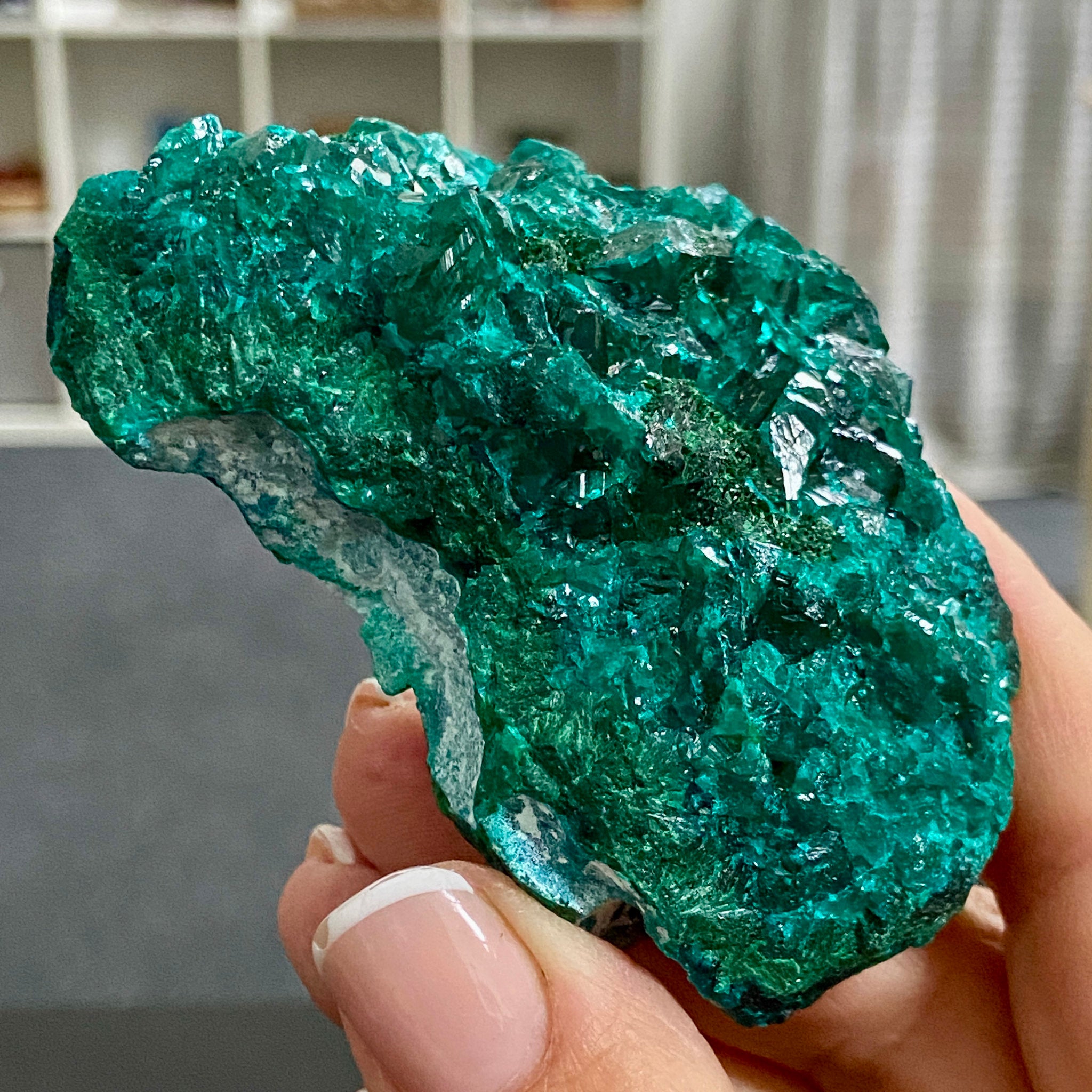 Private Collection - Dioptase