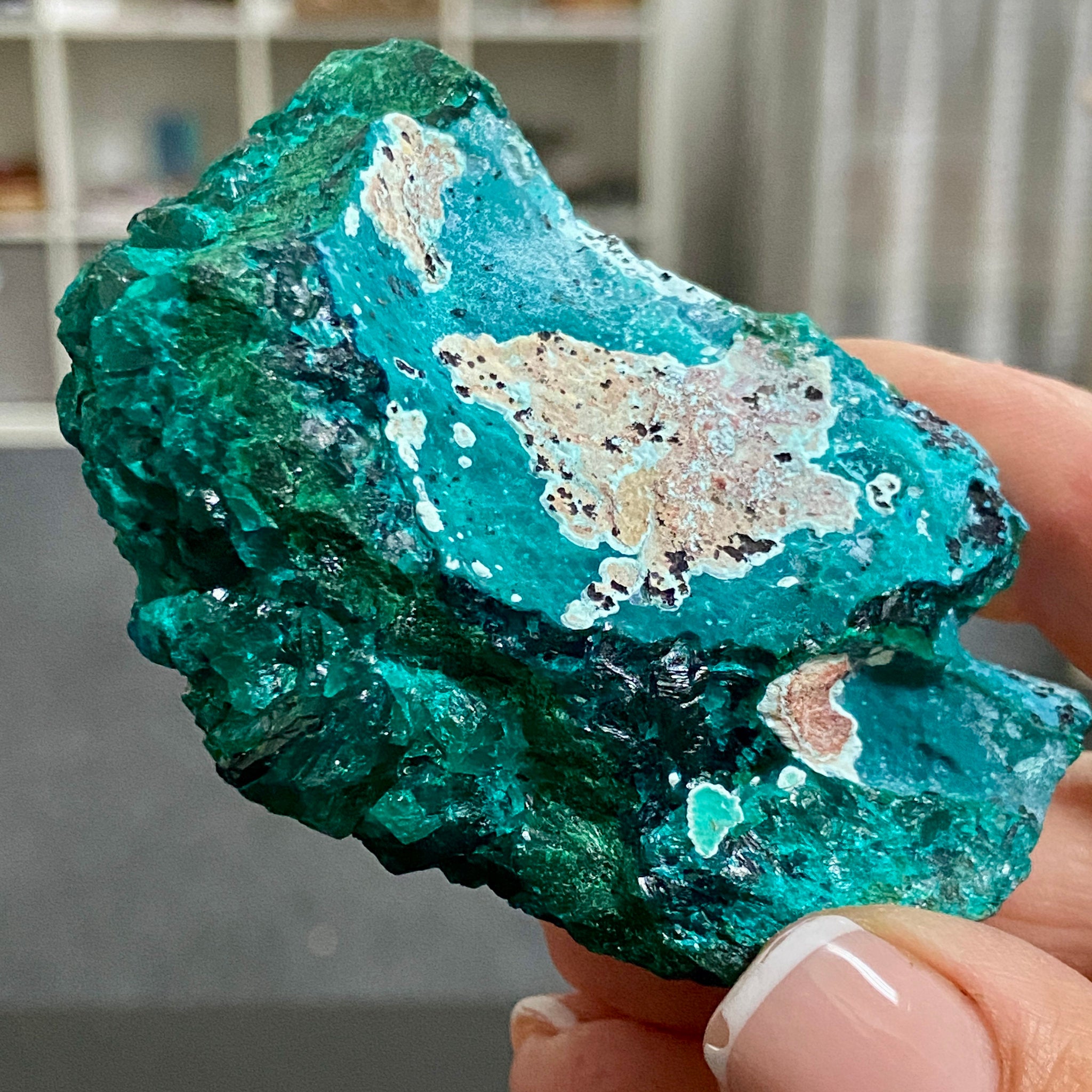 Private Collection - Dioptase