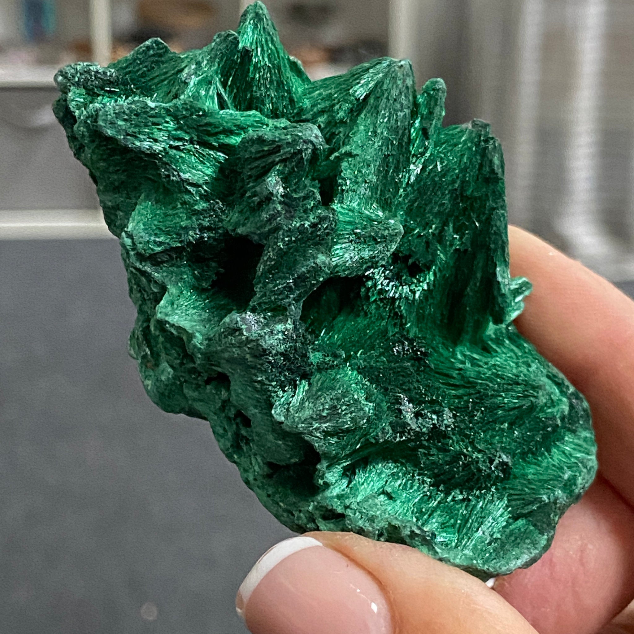 Private Collection - AAA Velvet Malachite