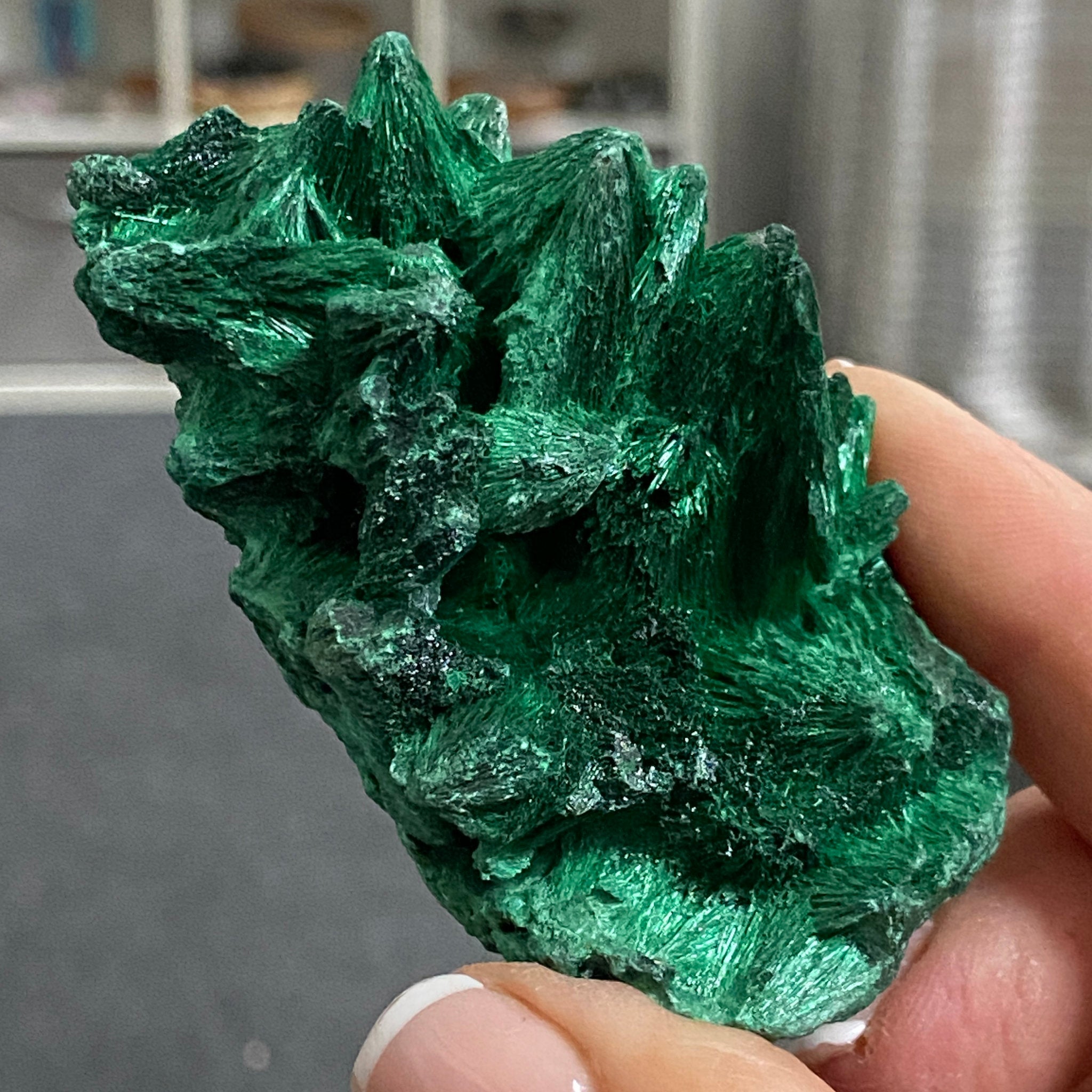 Private Collection - AAA Velvet Malachite