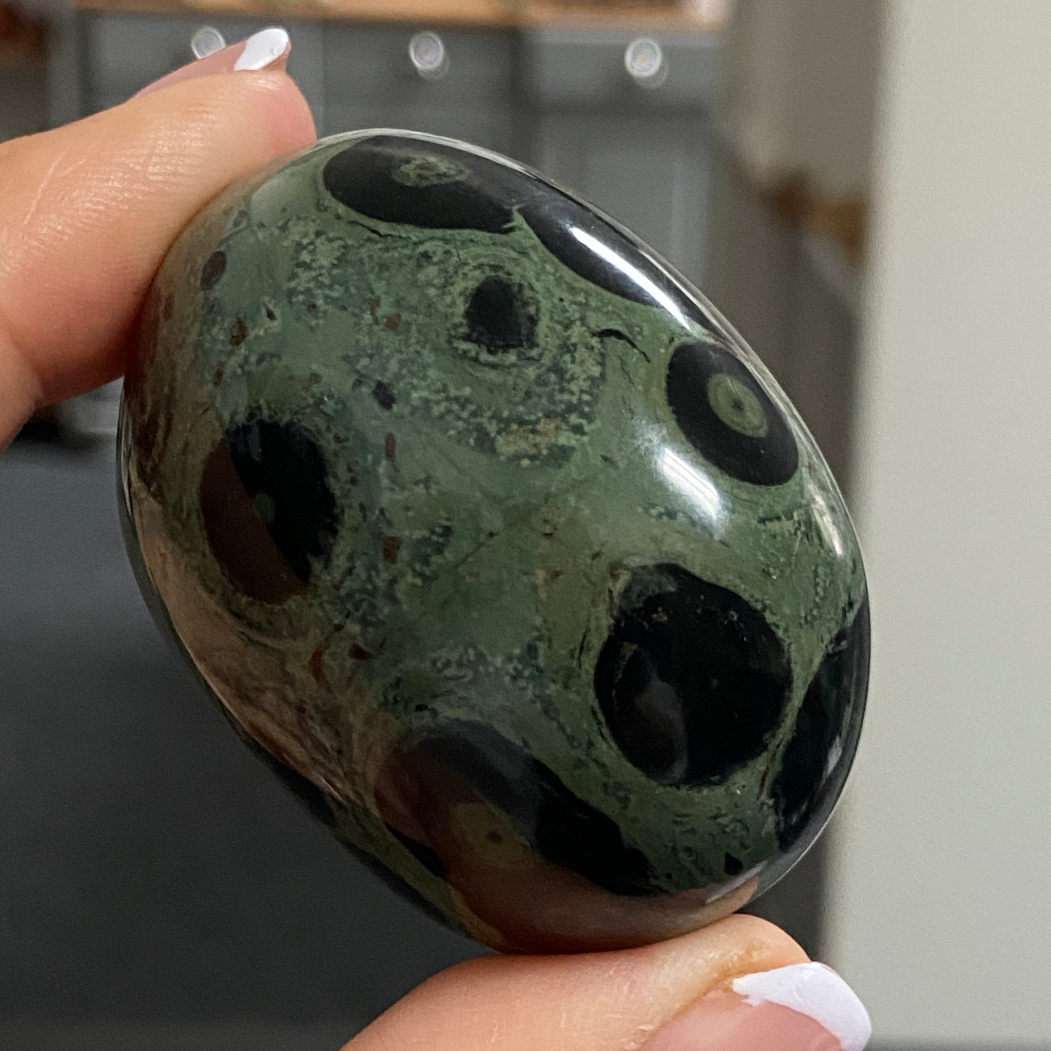 Kambaba Jasper Palmstone – Madagascar