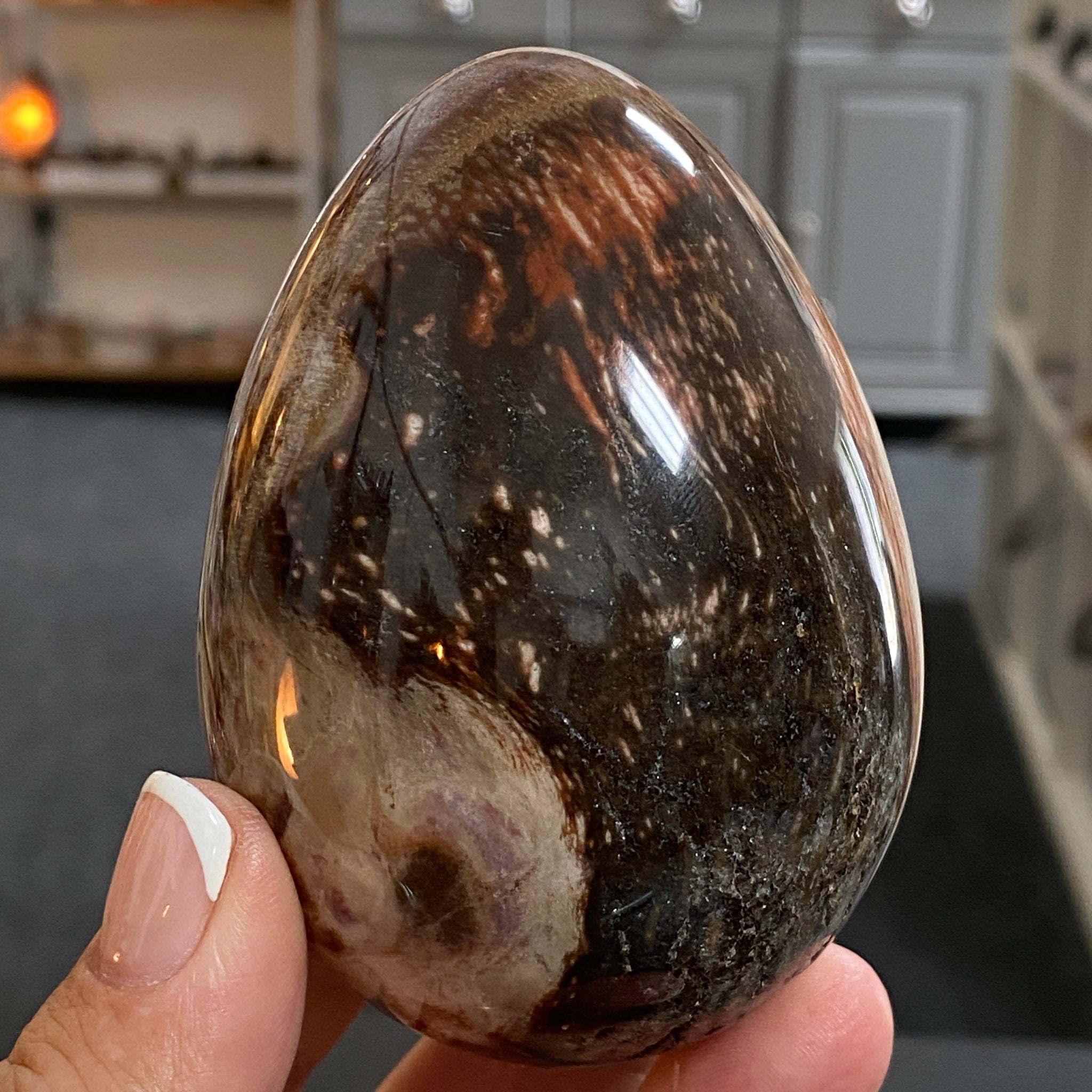 🪵 Fossilised Wood Egg – Madagascar