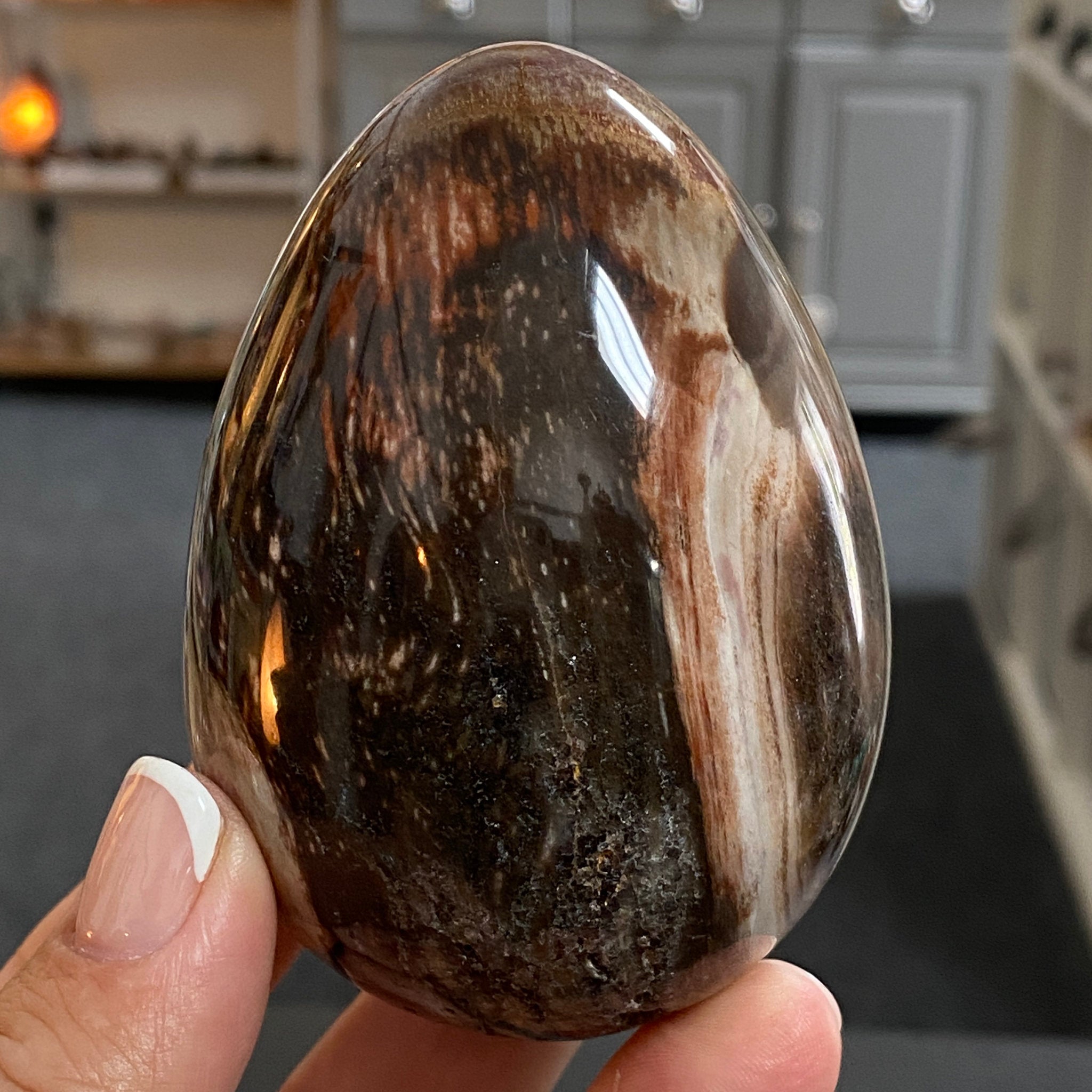 🪵 Fossilised Wood Egg – Madagascar