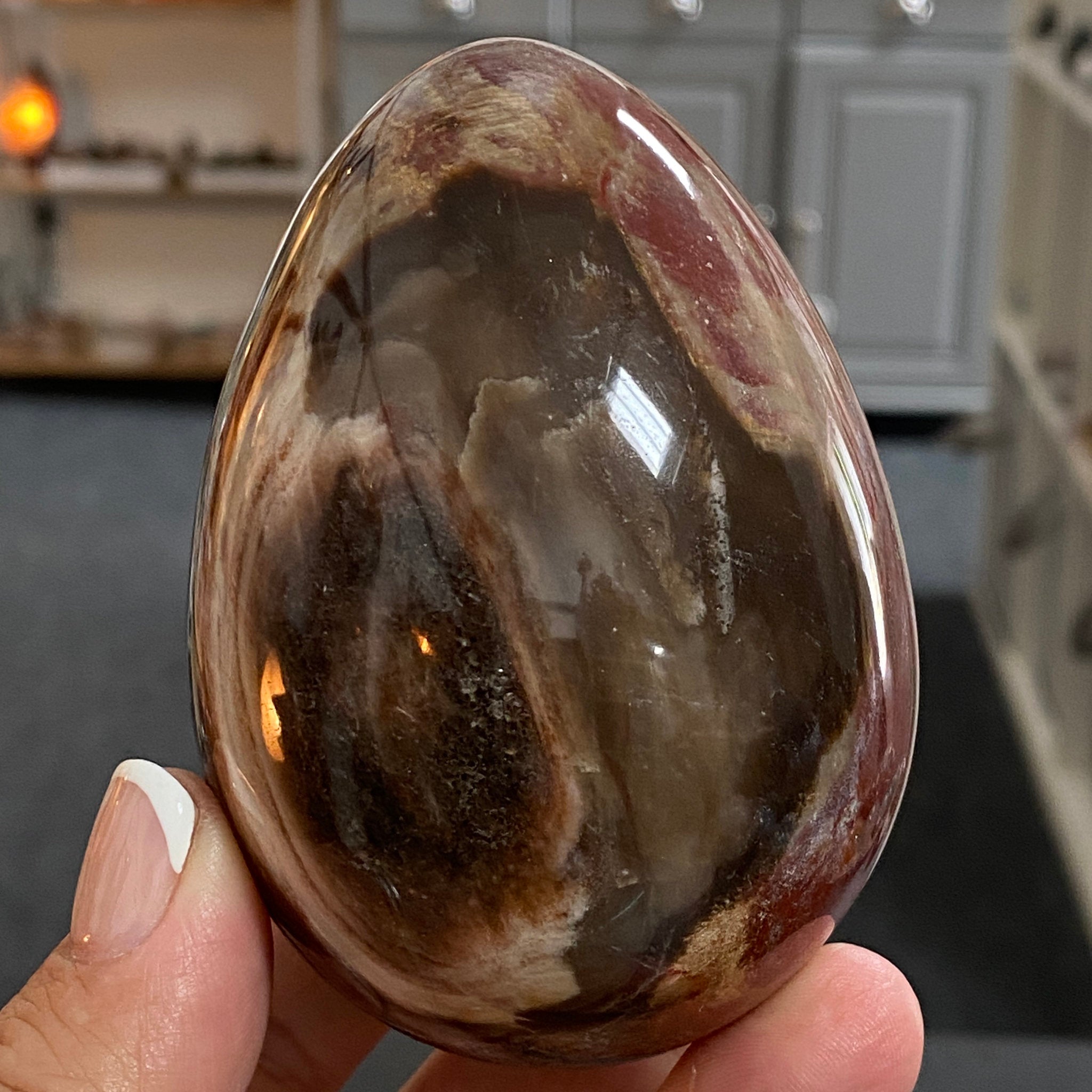 🪵 Fossilised Wood Egg – Madagascar