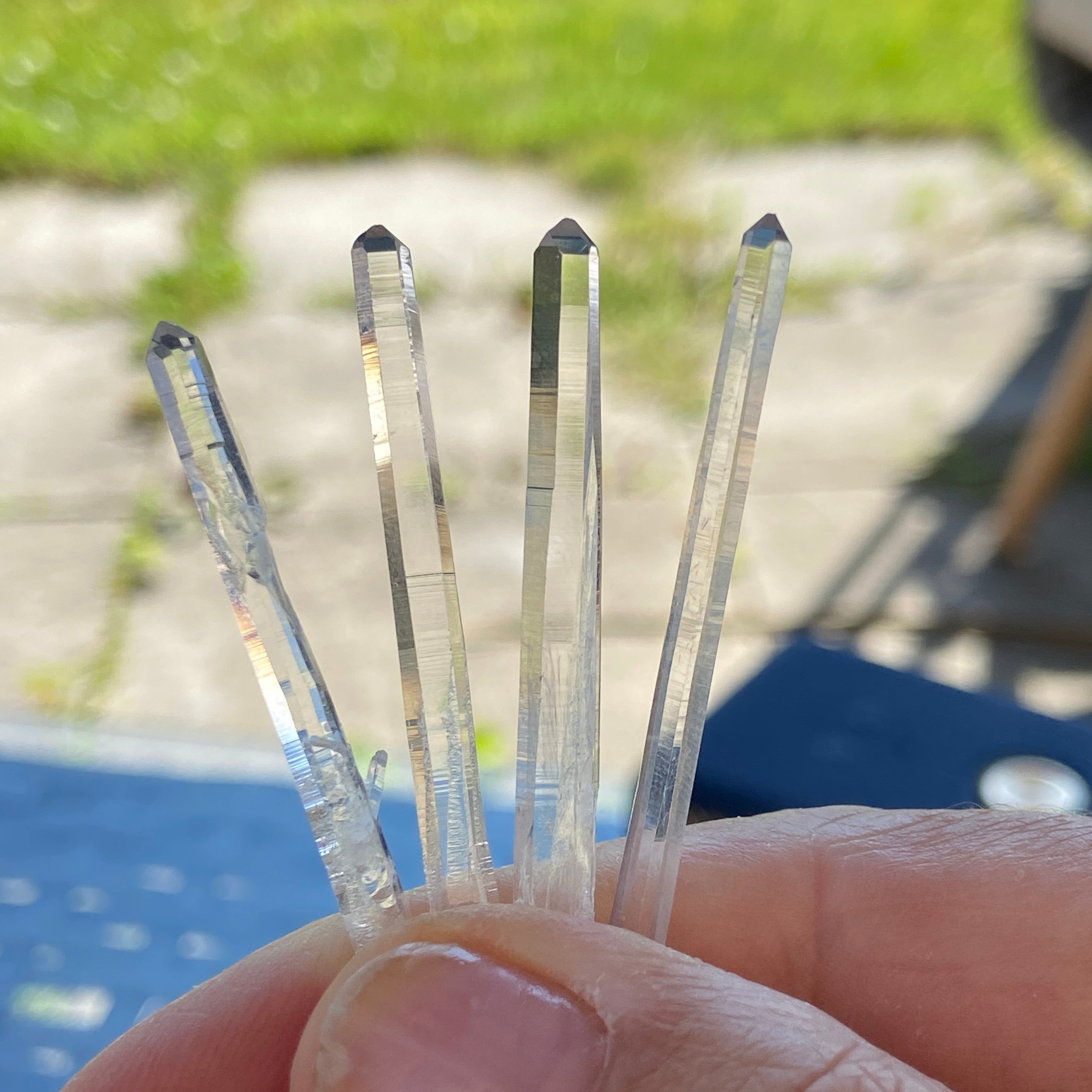 Lemurian Blade of Light - pack of 4