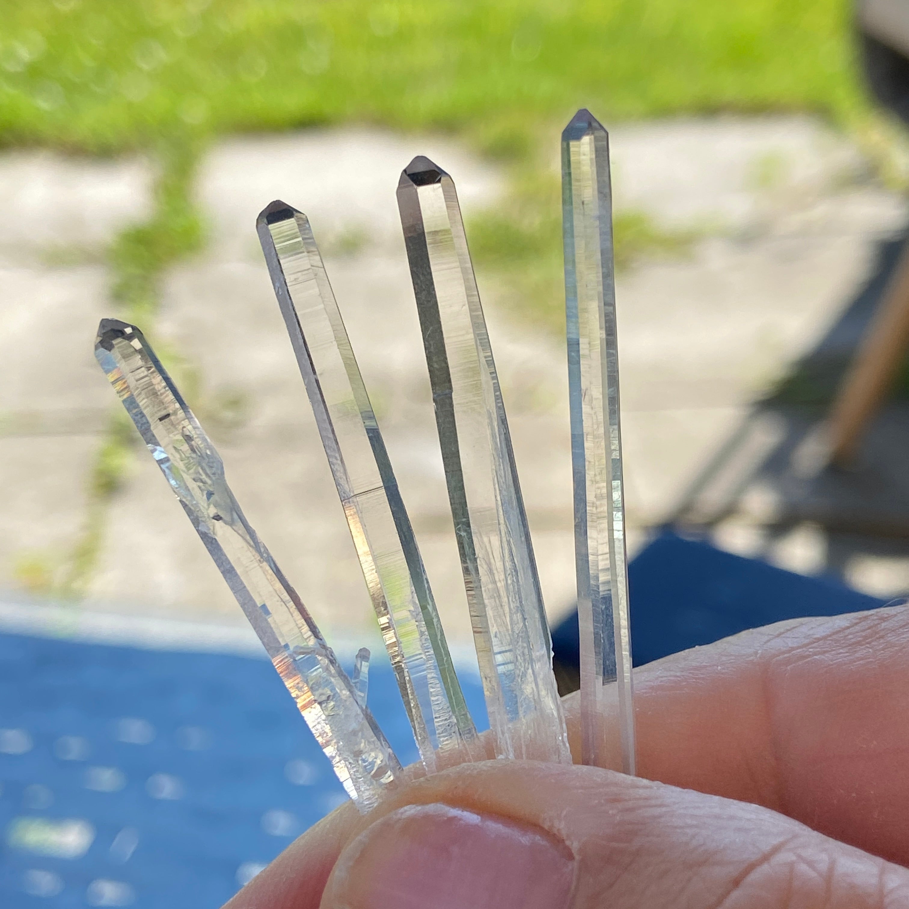 Lemurian Blade of Light - pack of 4