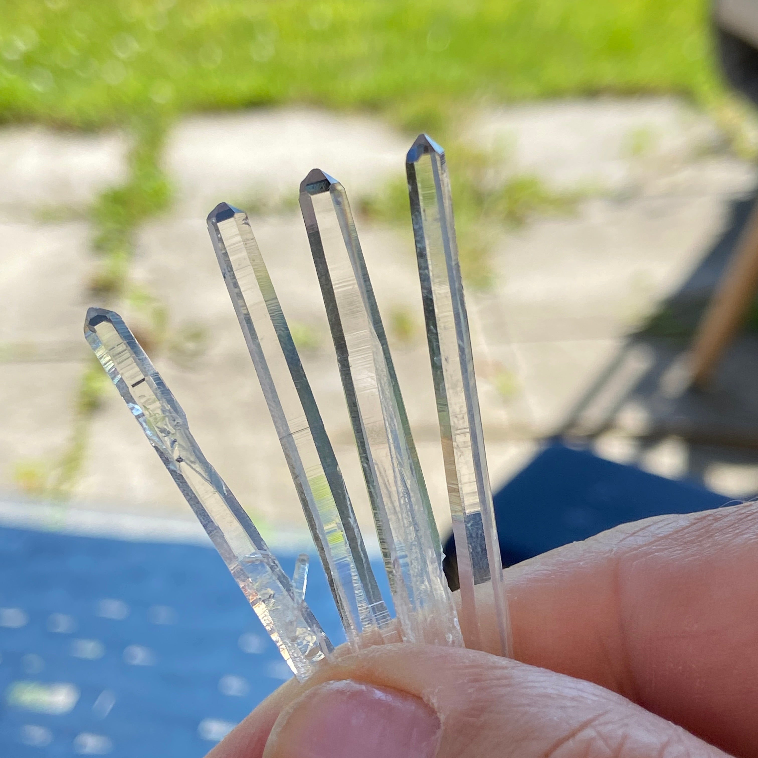 Lemurian Blade of Light - pack of 4