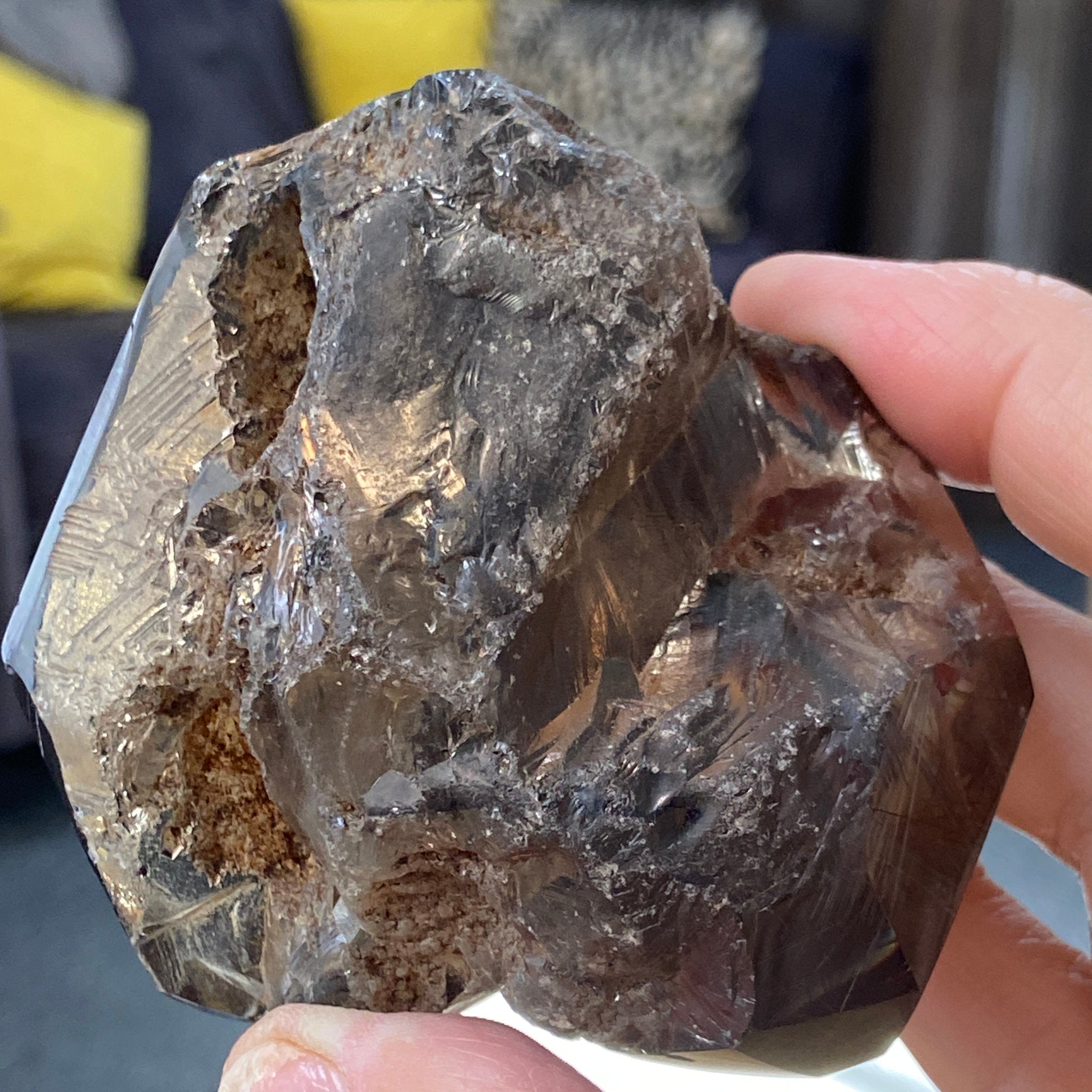 Private Collection - AAA Smoky Rutile Quartz Freeform – Brazil