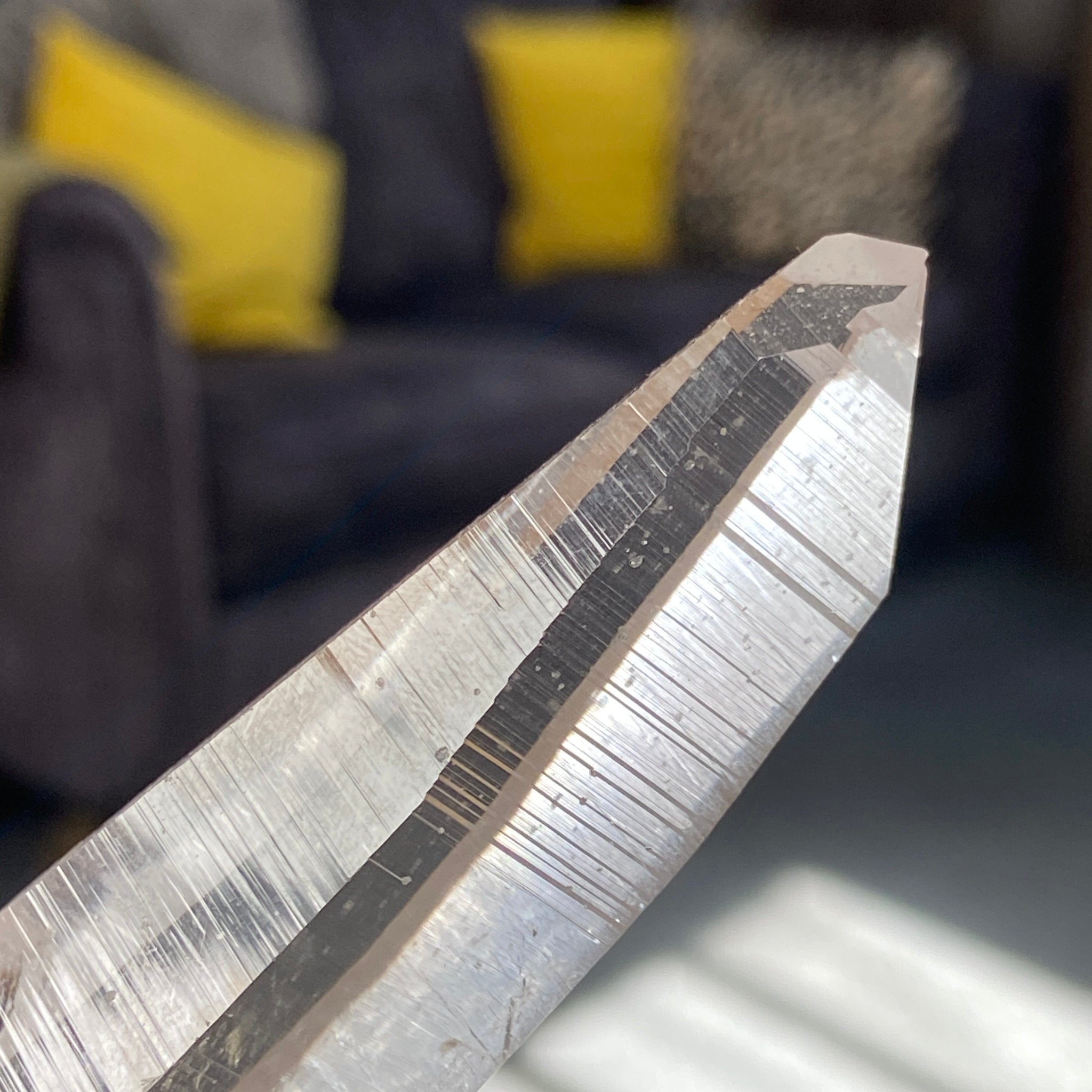 Private Collection - Lemurian Light Master Crystal – Colombia