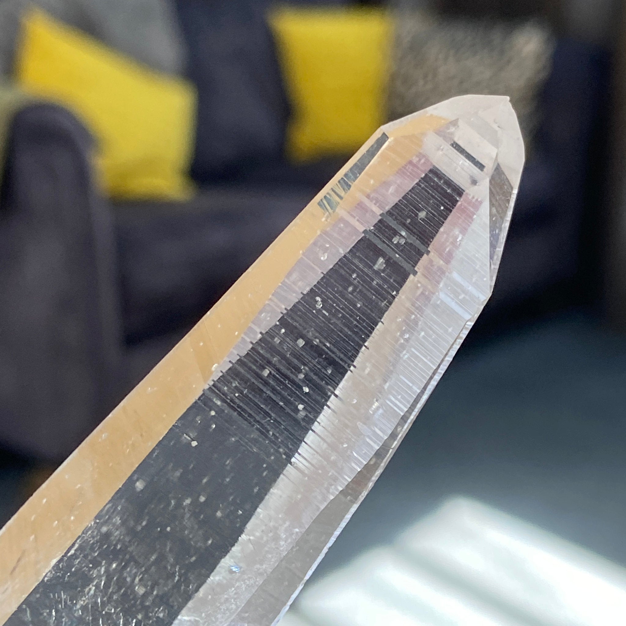 Private Collection - Lemurian Light Master Crystal – Colombia