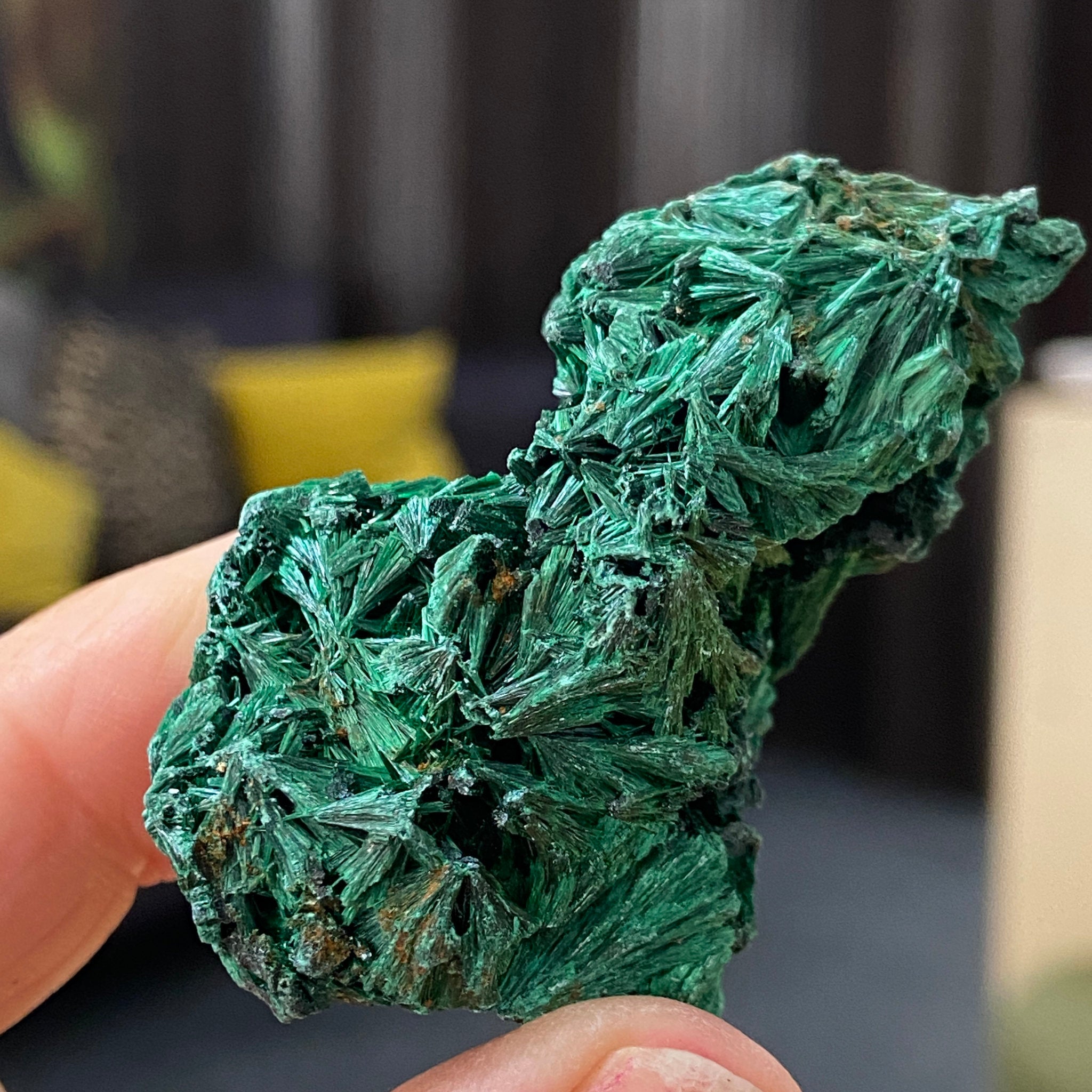 Velvet Malachite