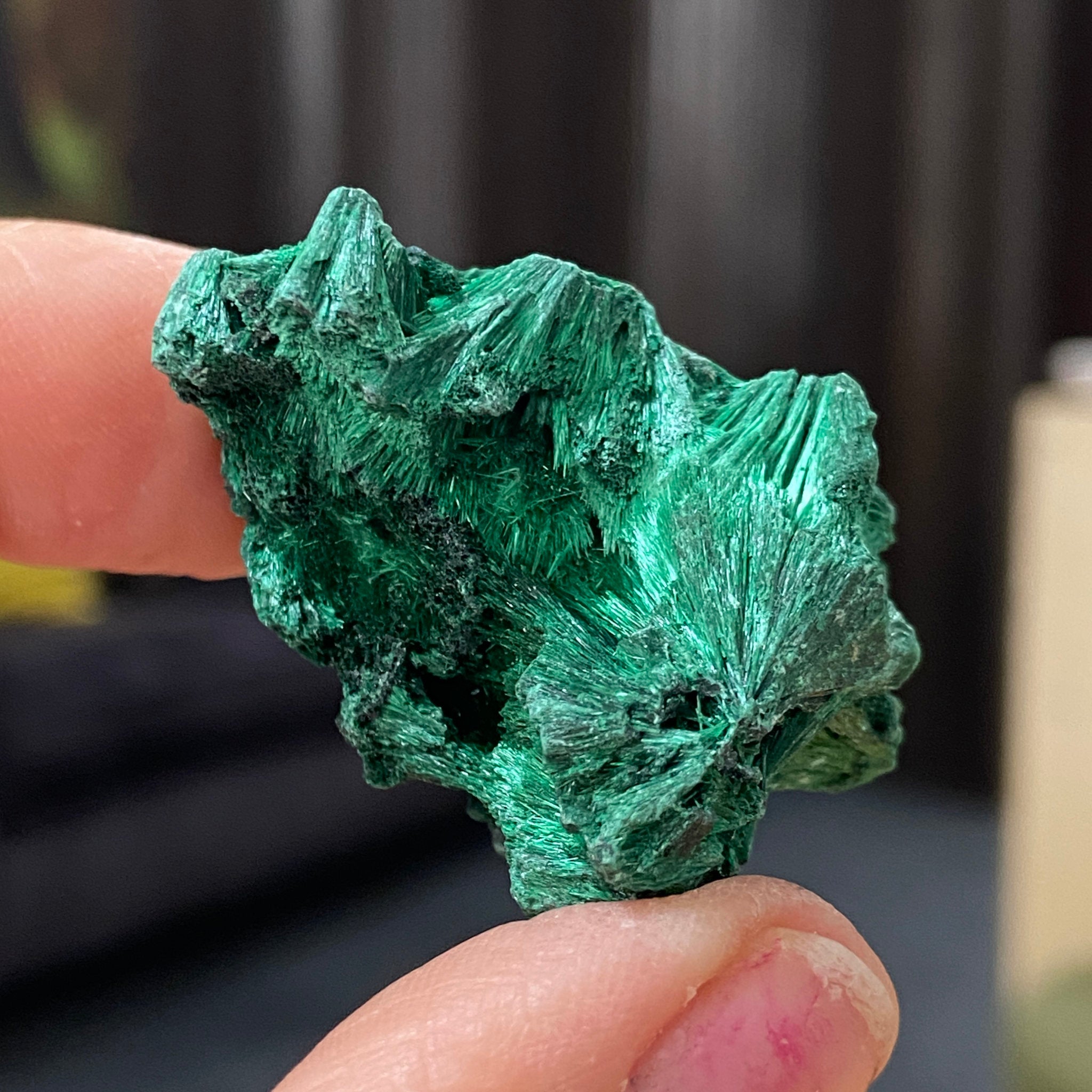 Velvet Malachite