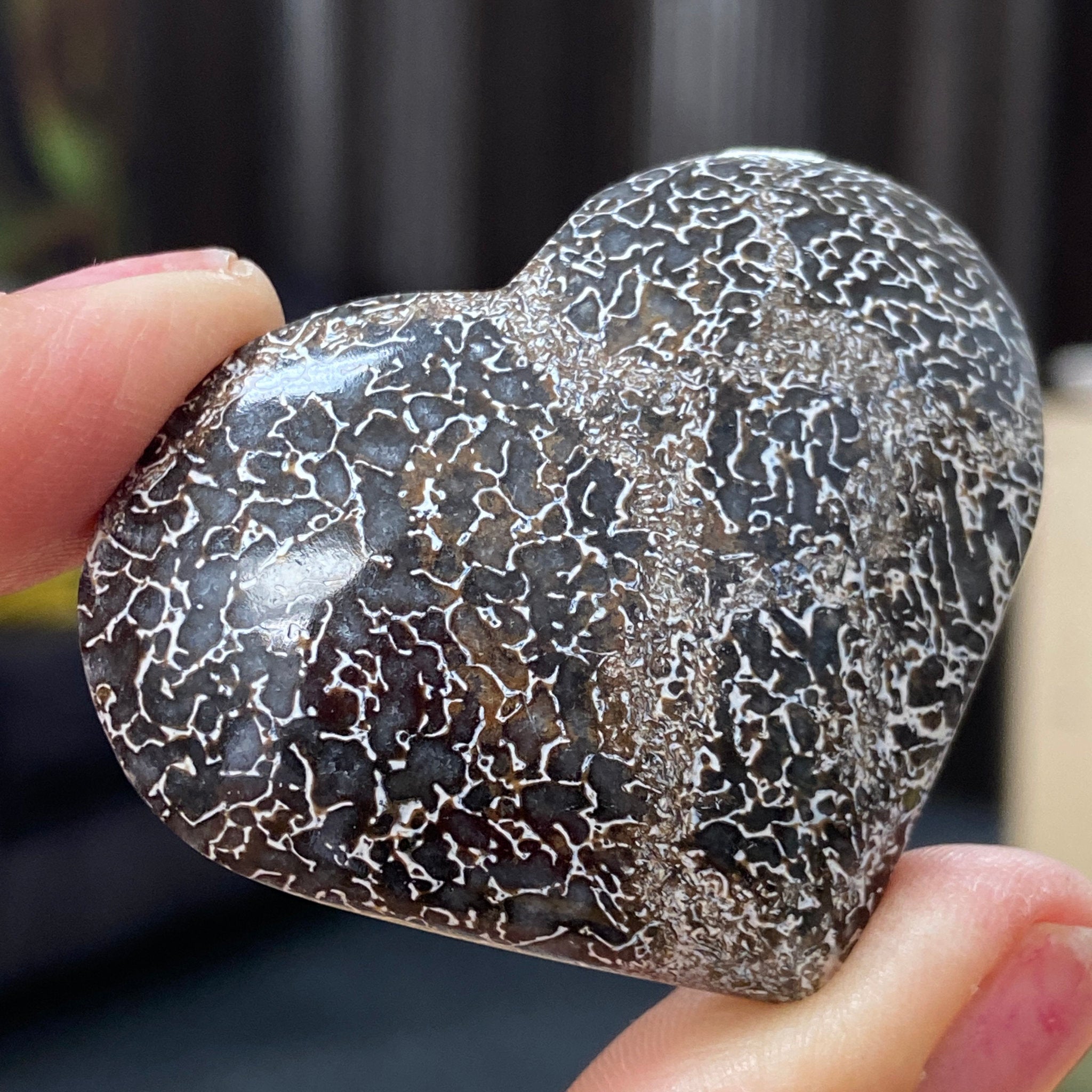 Dinosaur Bone Heart – Morocco