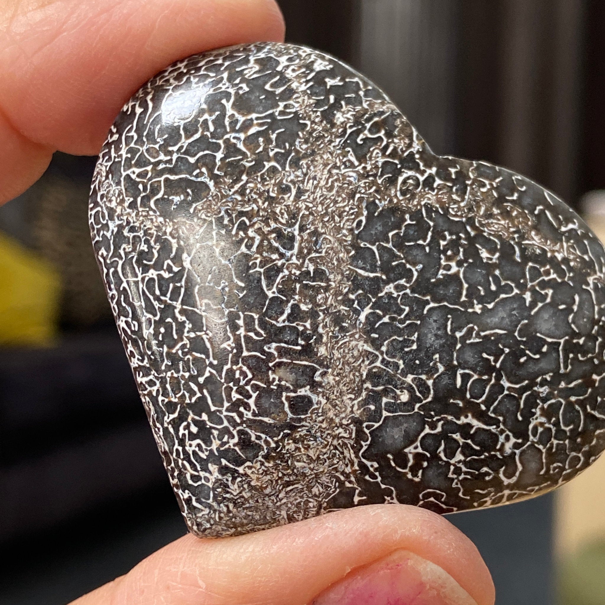 Dinosaur Bone Heart – Morocco