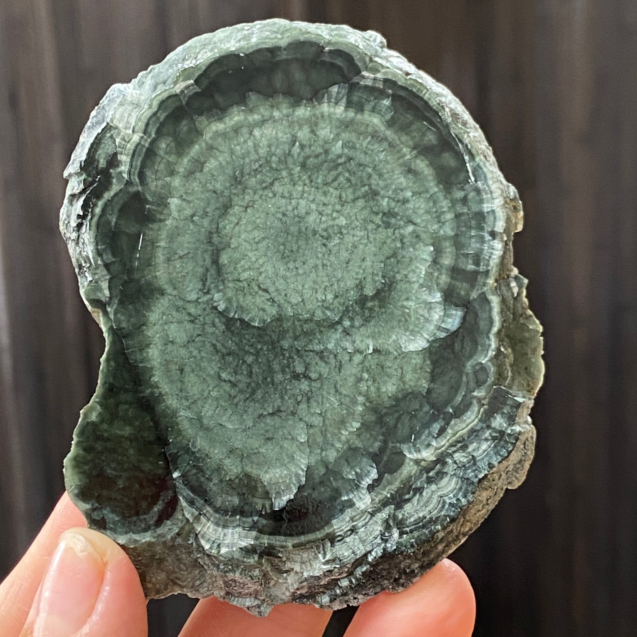 Seraphinite Slice – Russia