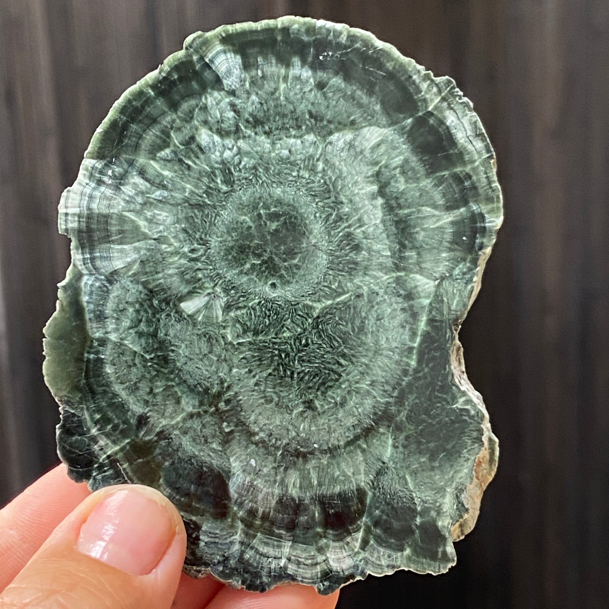 Seraphinite Slice – Russia