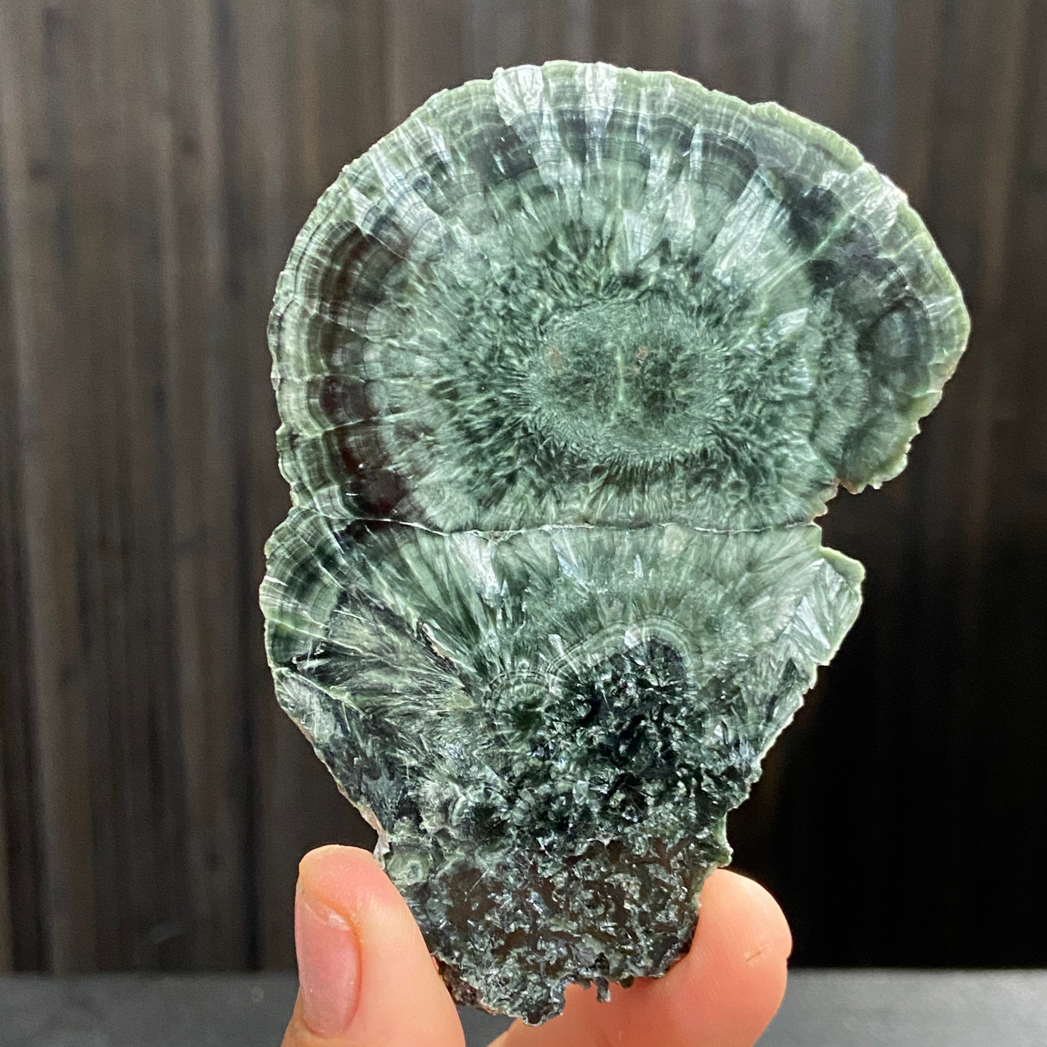 Seraphinite Slice – Russia