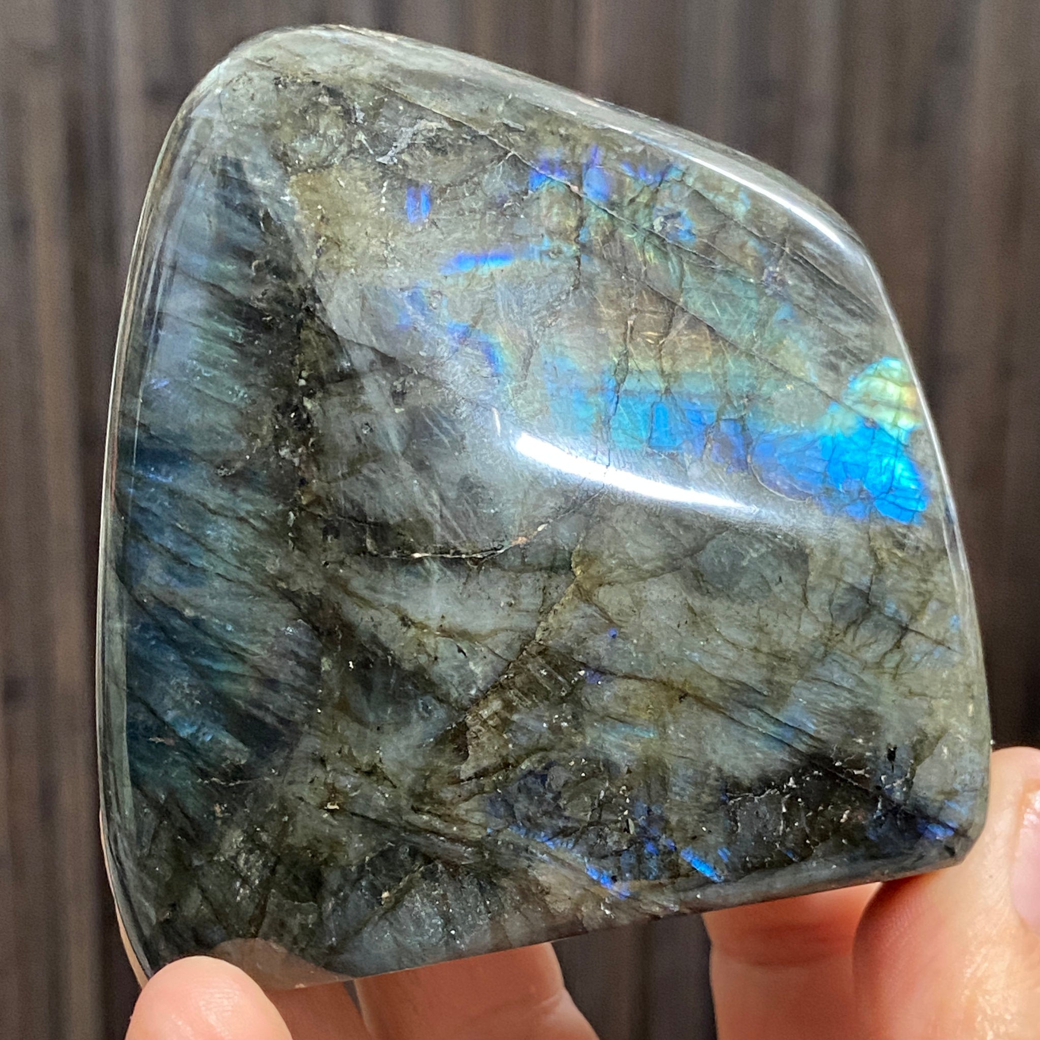 Madagascan “Papillon” Labradorite