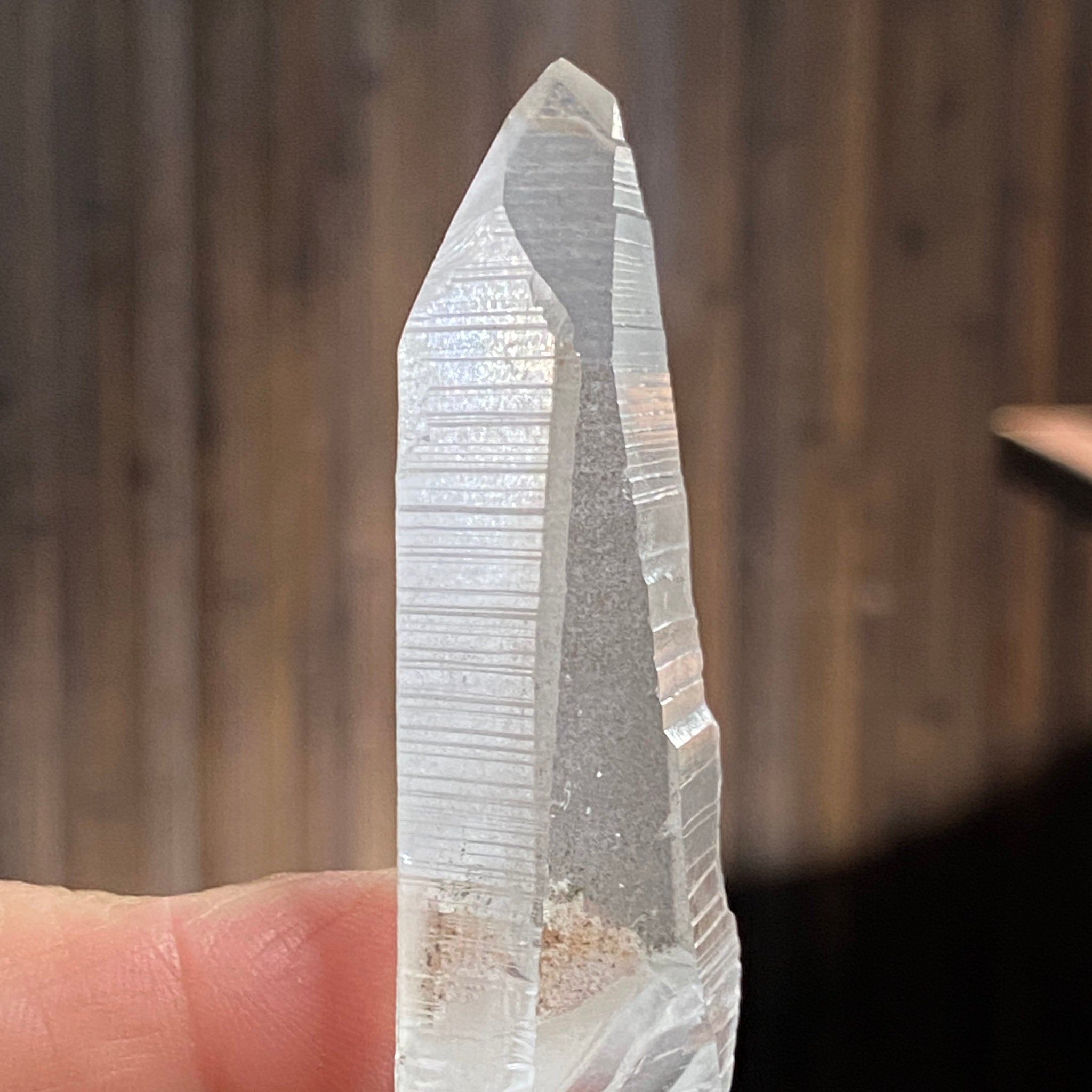 Lemurian Seed Crystal – Serra do Cabral, Brazil