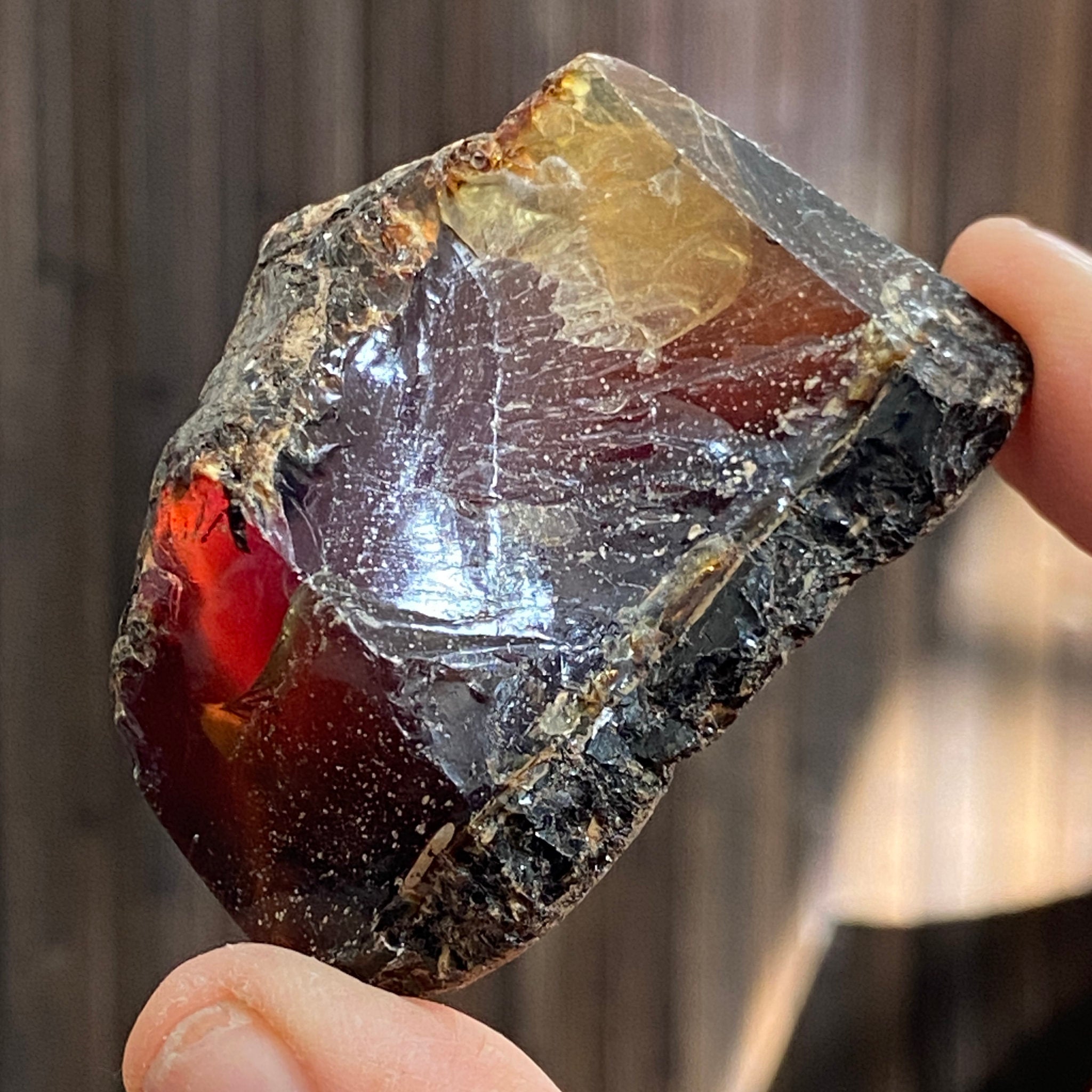 Blue Amber – Sulawesi, Indonesia