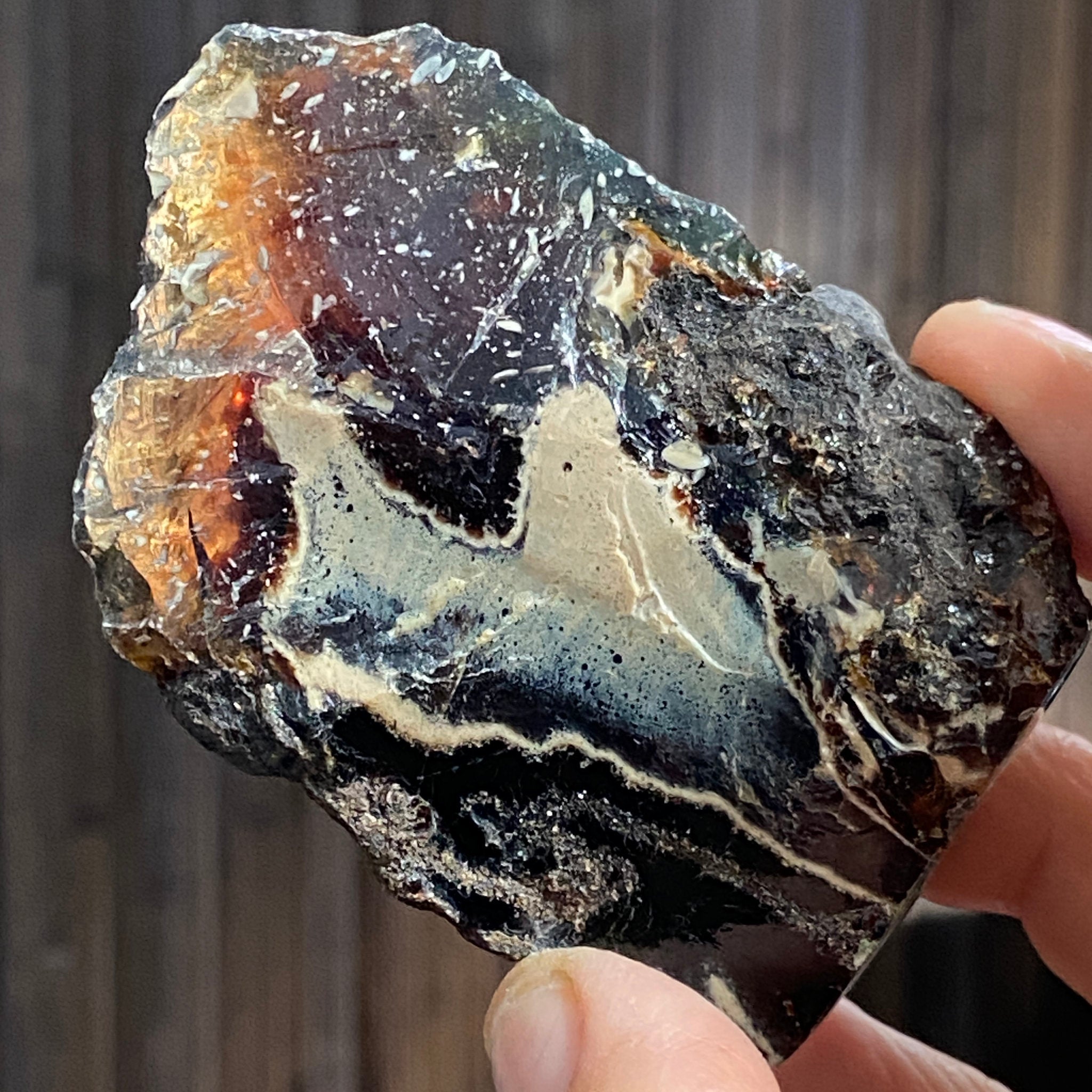 Blue Amber – Sulawesi, Indonesia