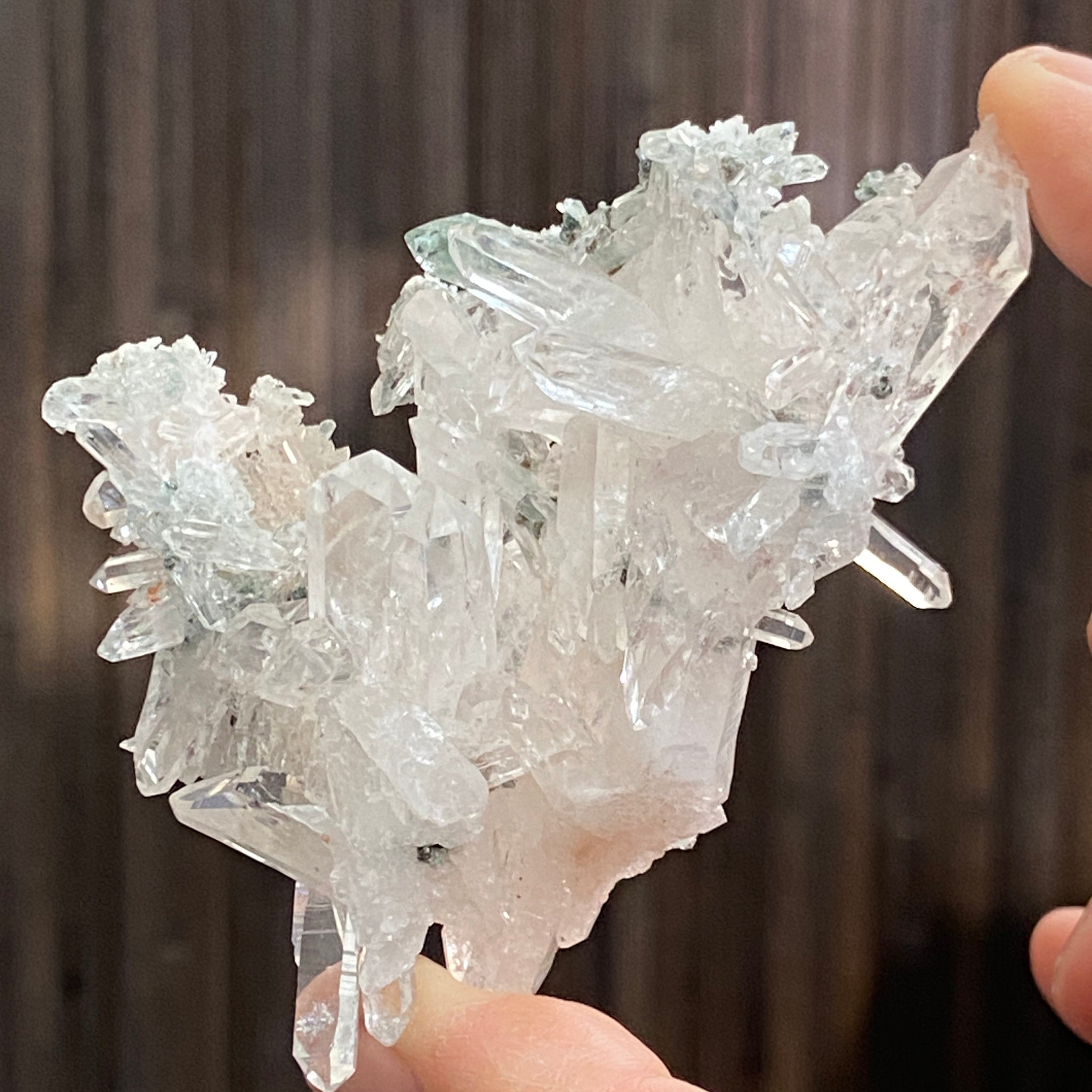 Lemurian Light Cluster - Colombia