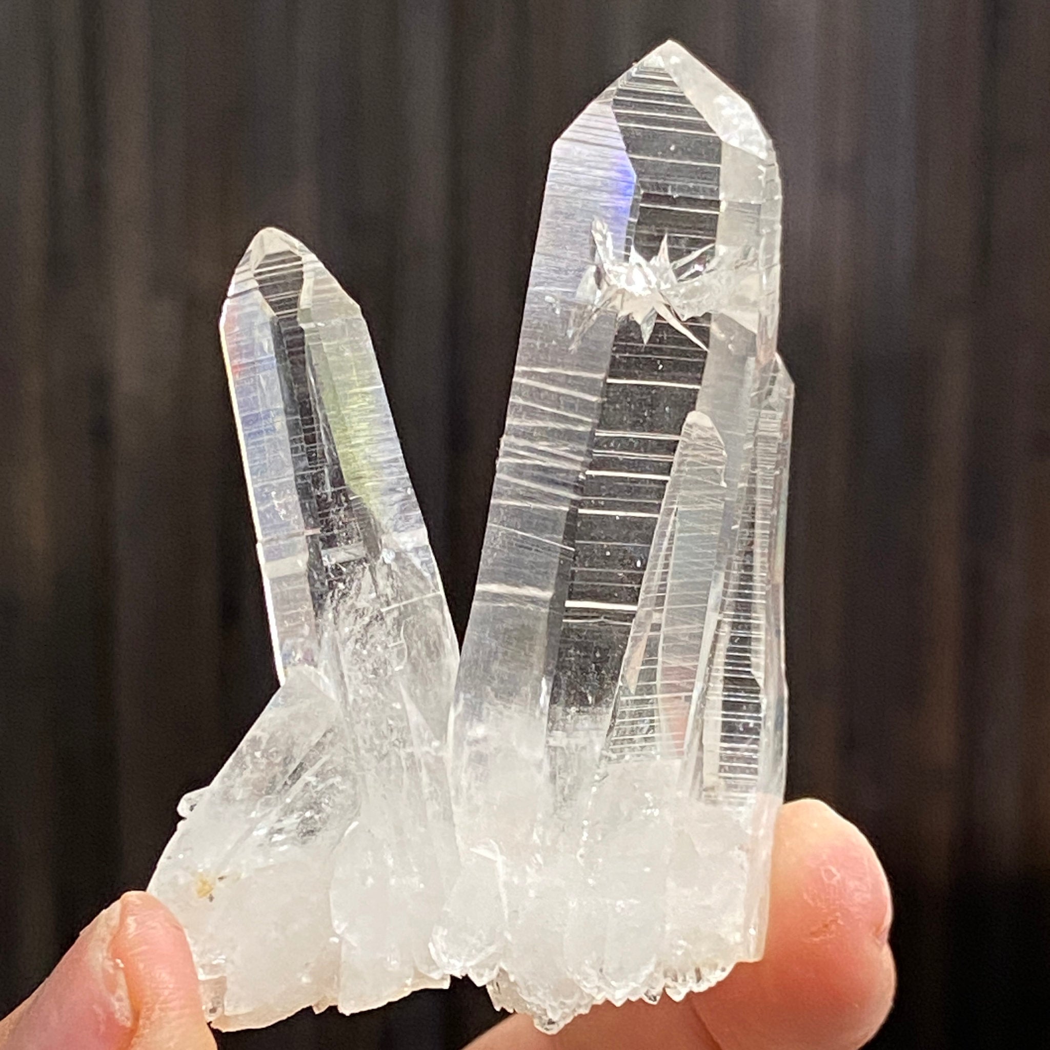 Private Collection Release - Penas Blancas Lemurian Blade of Light Cluster