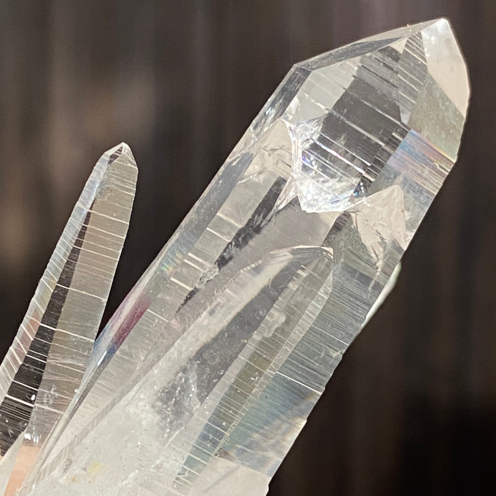 Private Collection Release - Penas Blancas Lemurian Blade of Light Cluster