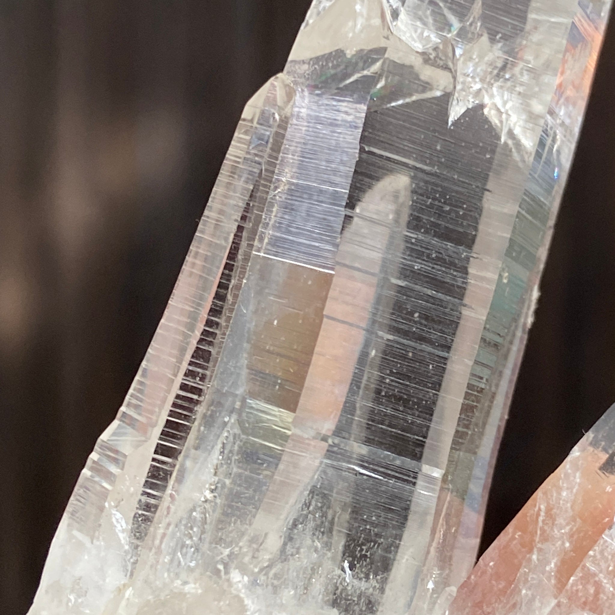 Private Collection Release - Penas Blancas Lemurian Blade of Light Cluster
